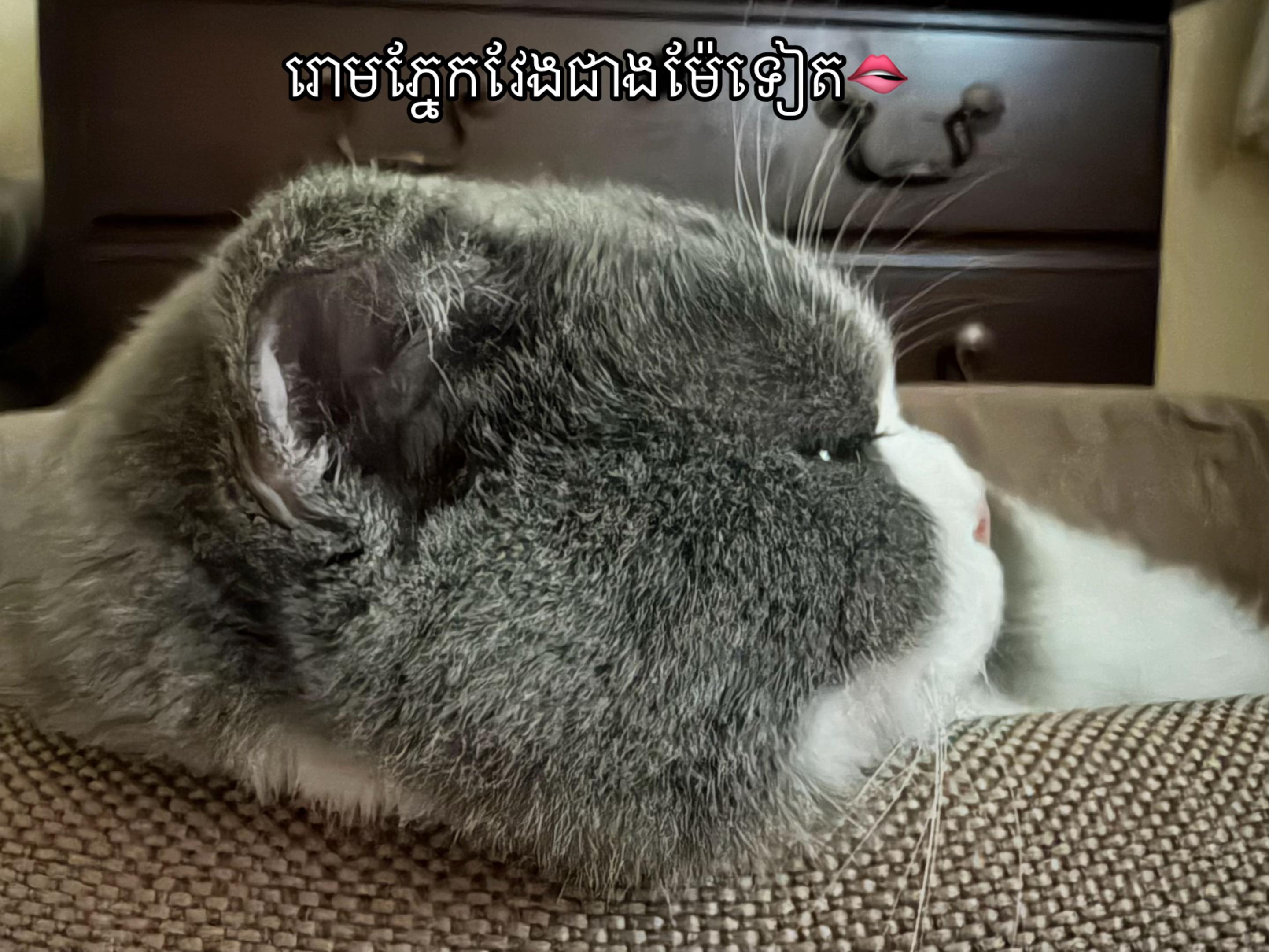 @Jinjin&mimi