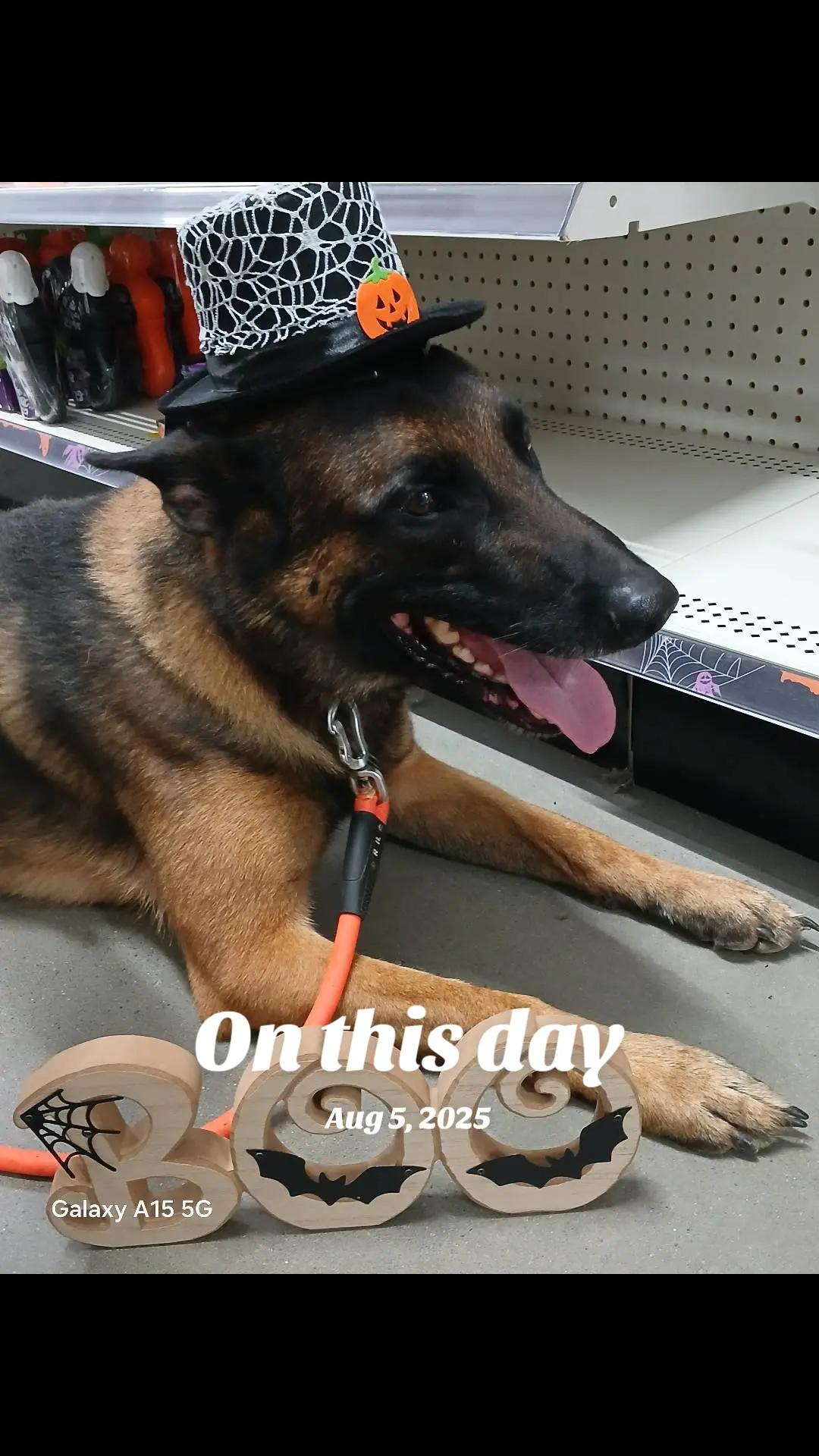 @Natalie Thatmalinoislady