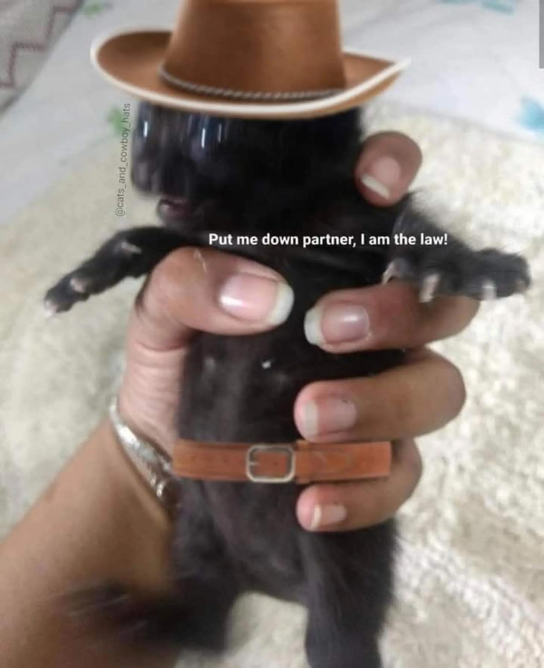 @SiLeNtKiLl44