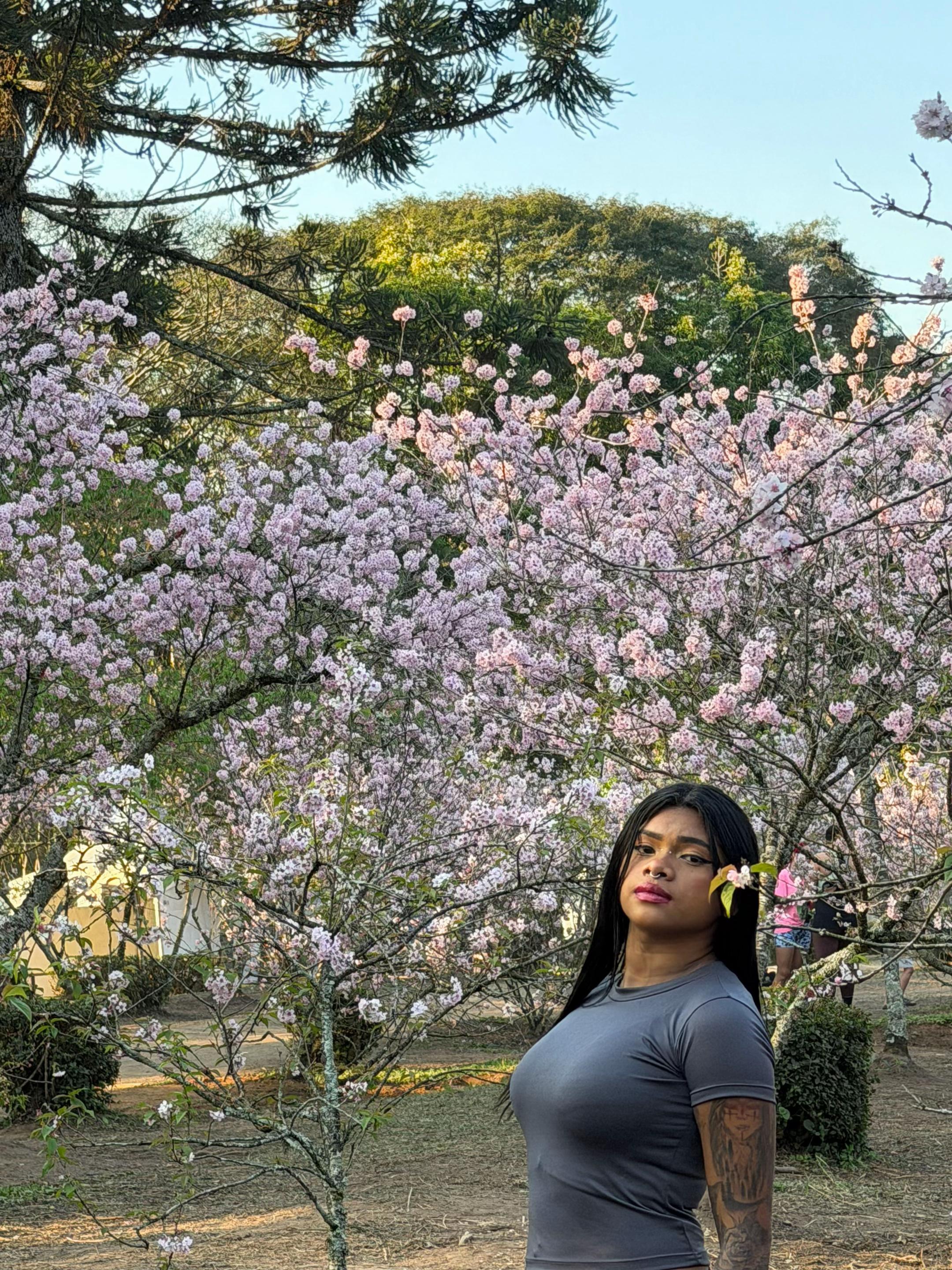 @Paivaafd🎀🇧🇷