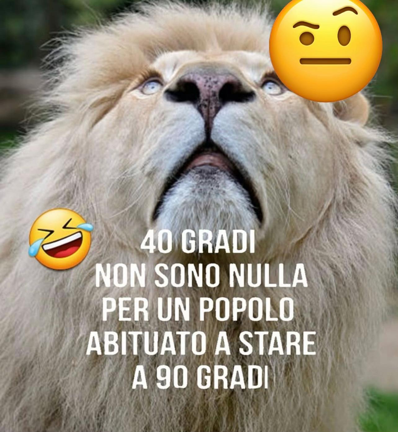@๐๐ ๐Patrizia๐ง๐ปโ๏ธ๐ซถ๐ซฐ๐ผ