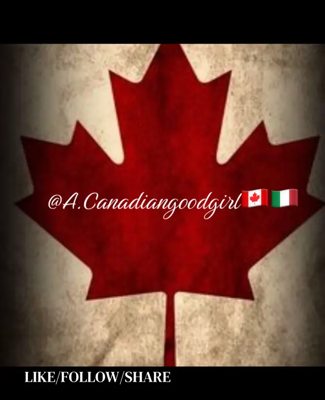 @a.canadiangoodgirl🇨🇦🇮🇹
