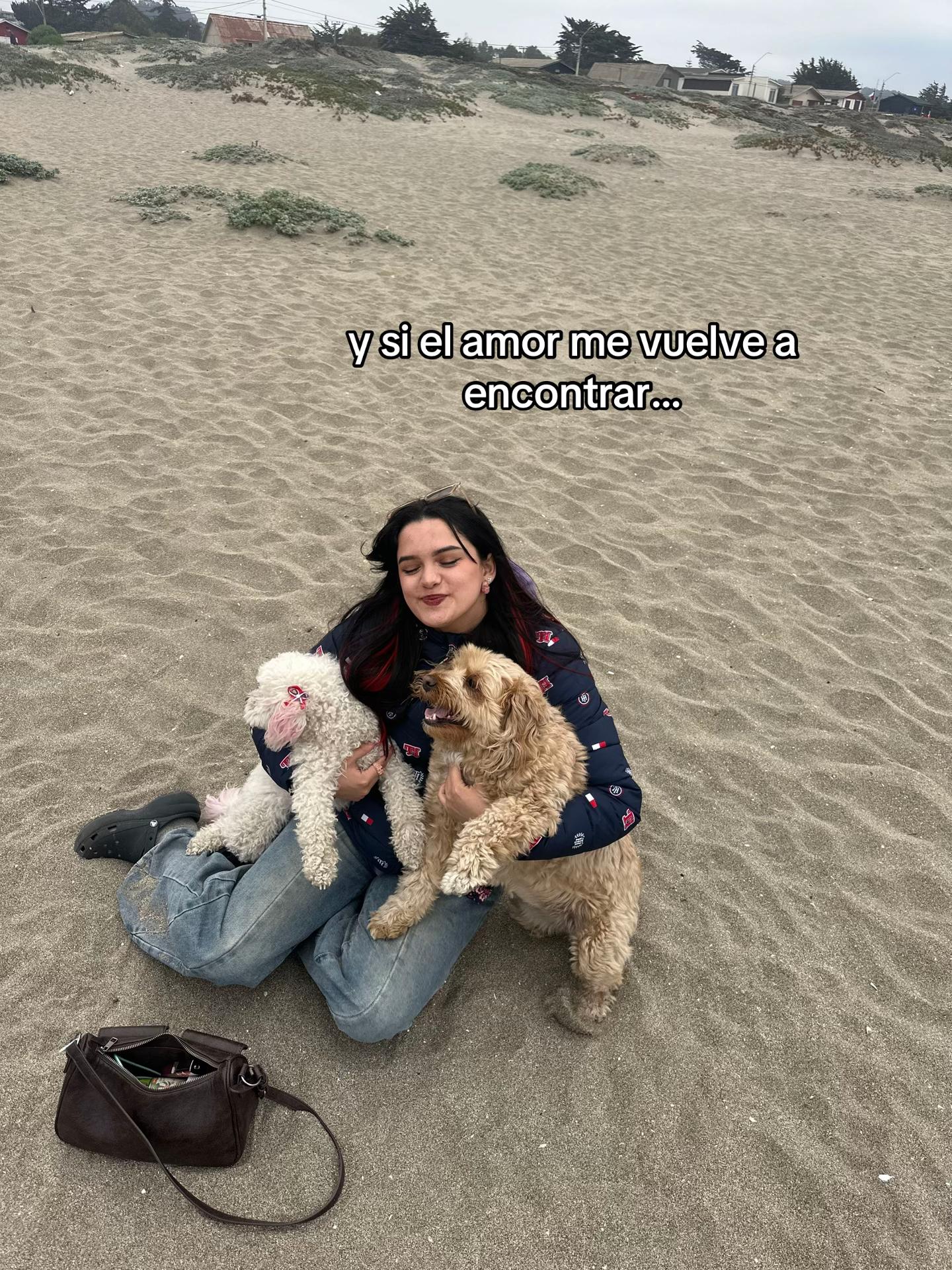 @renatosa