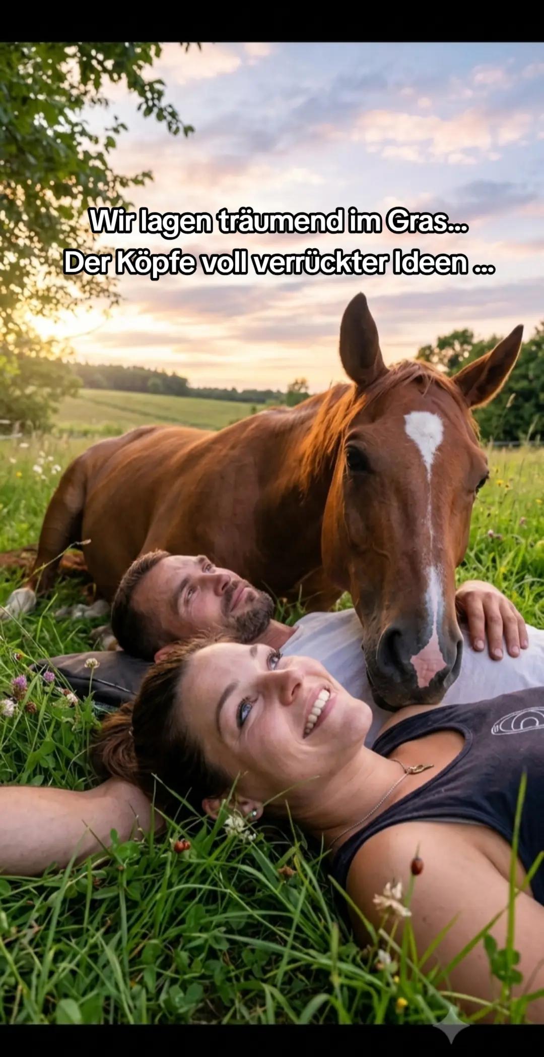 @Another_sunrise_farm