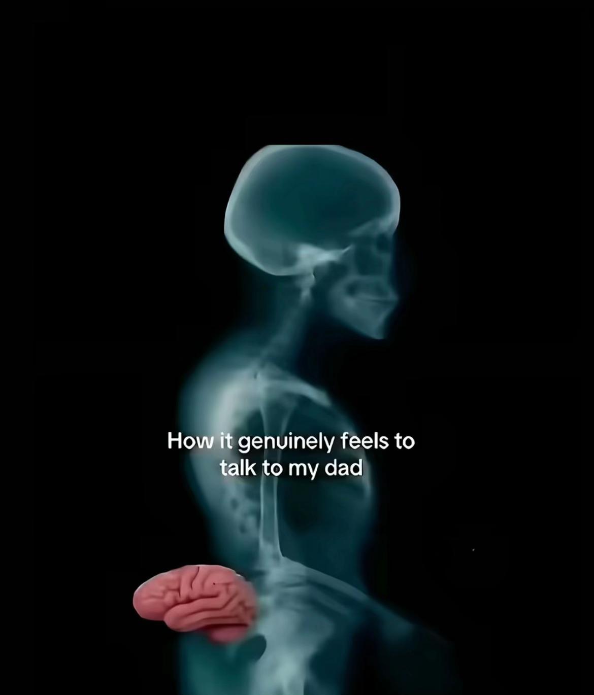 @丰𝓐𝓵𝓲𝓼𝓸𝓷丰🦑🐇
