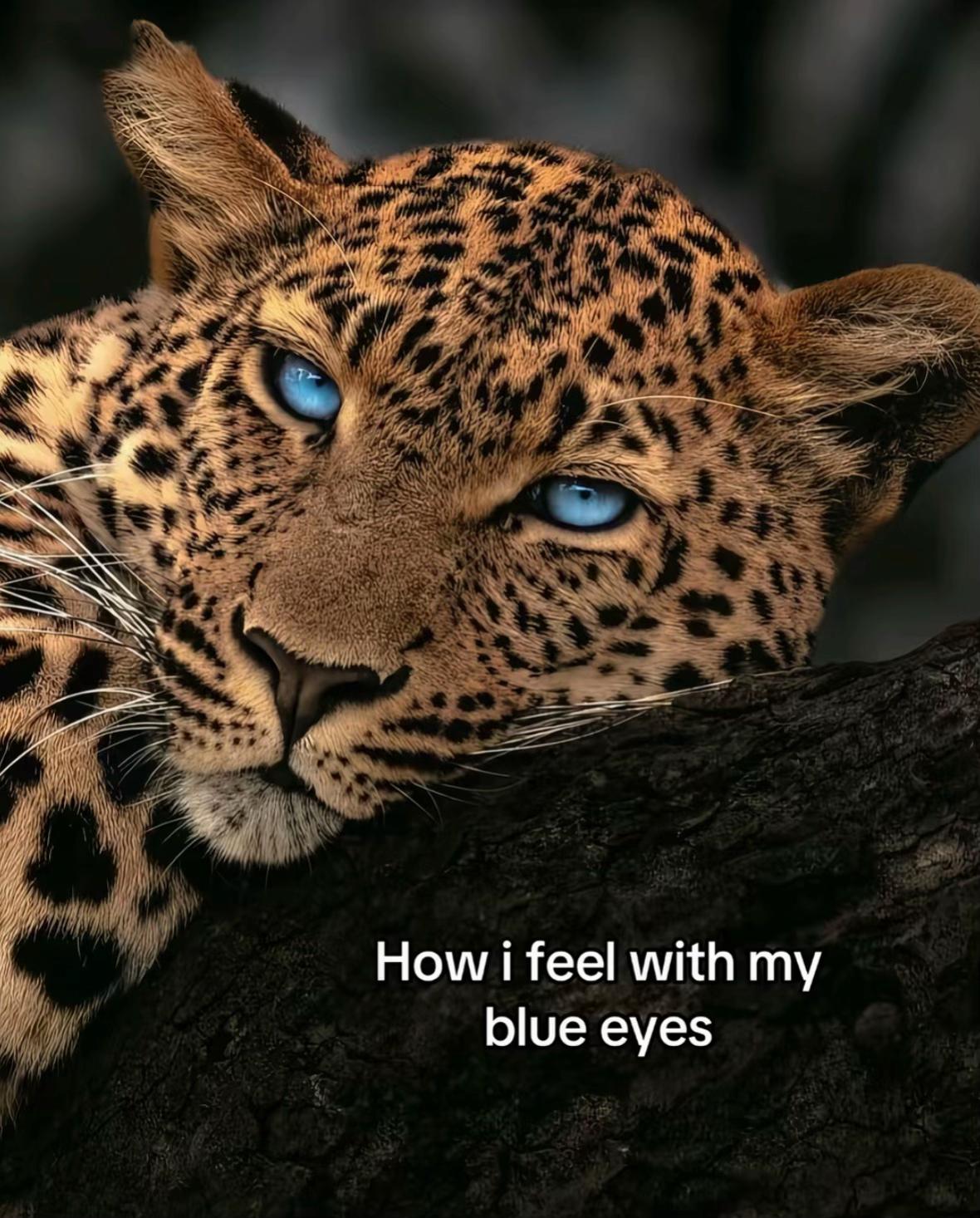 @𝓛𝓲𝓵𝓵𝔂