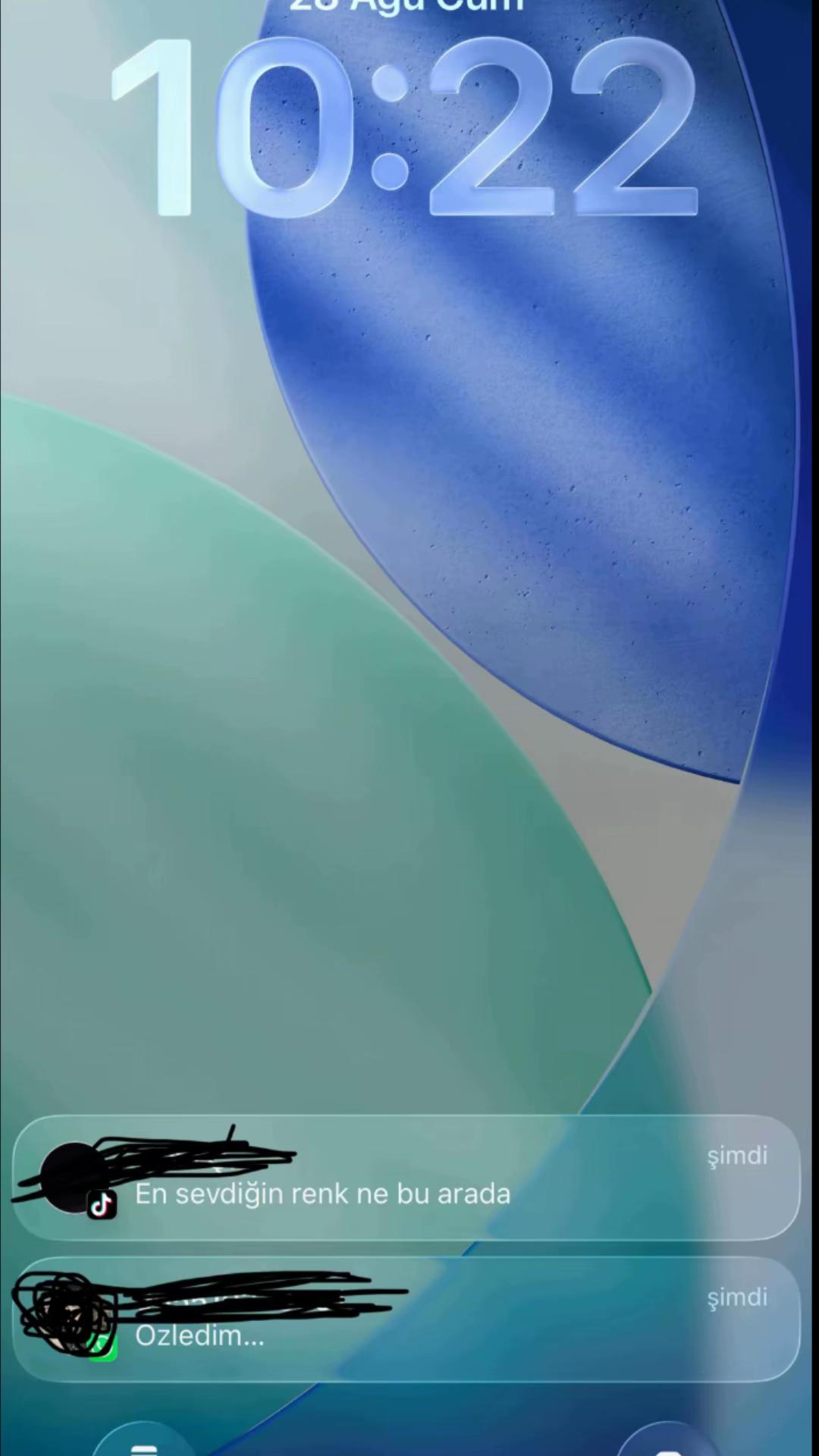 @wirellionyx