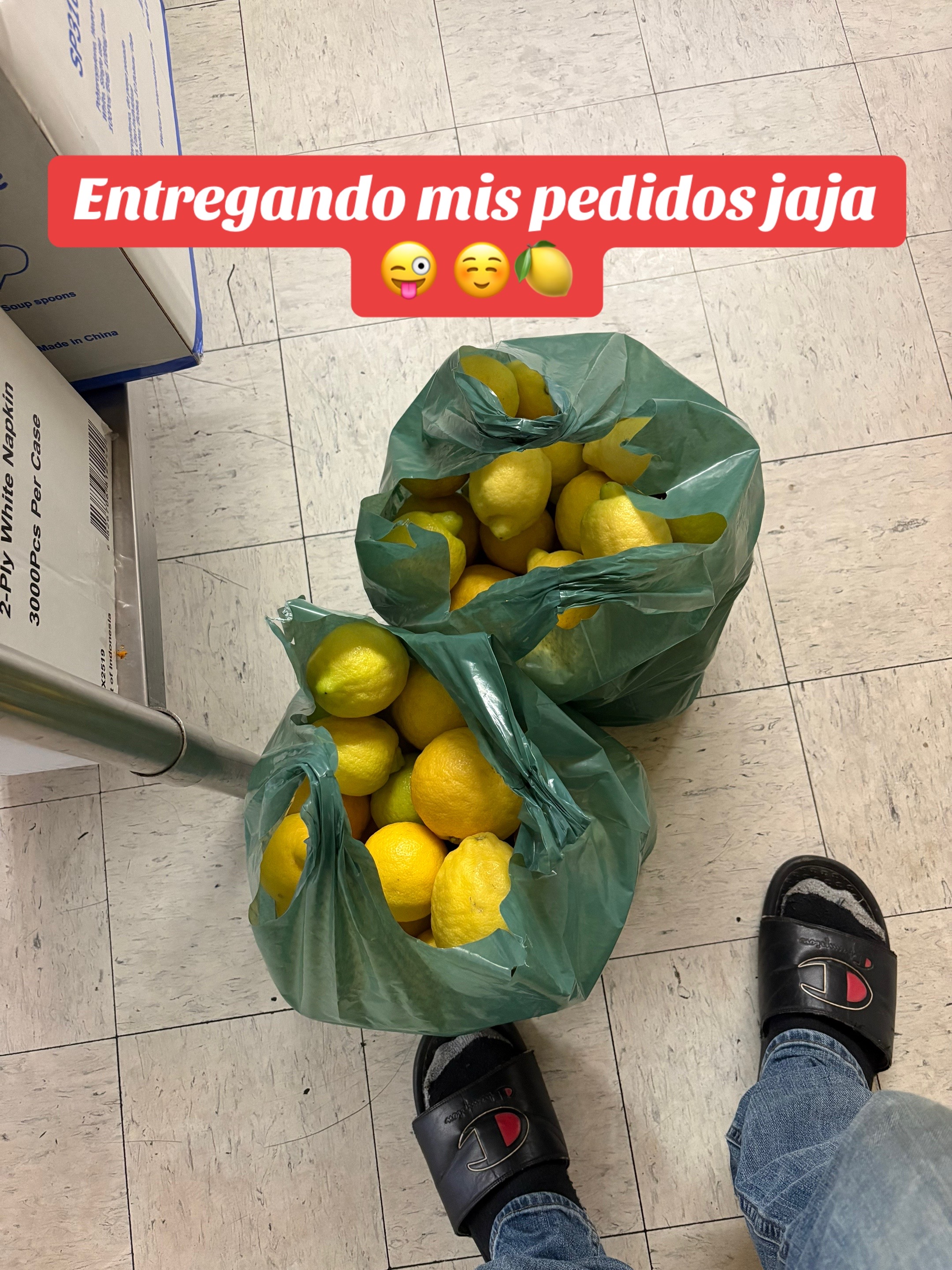 @Elo Santana 🥑🍊🍋