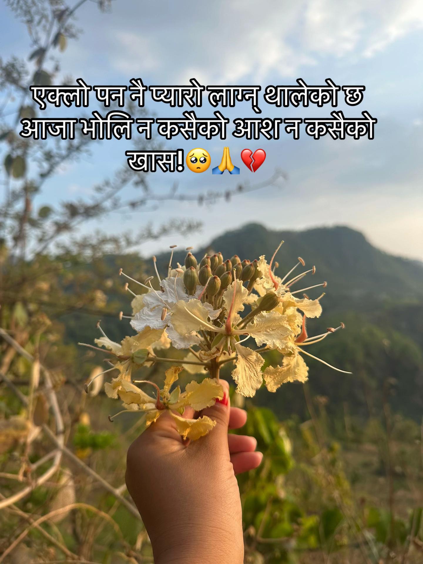 @么𝐍𝐚𝑛𝐢💚 