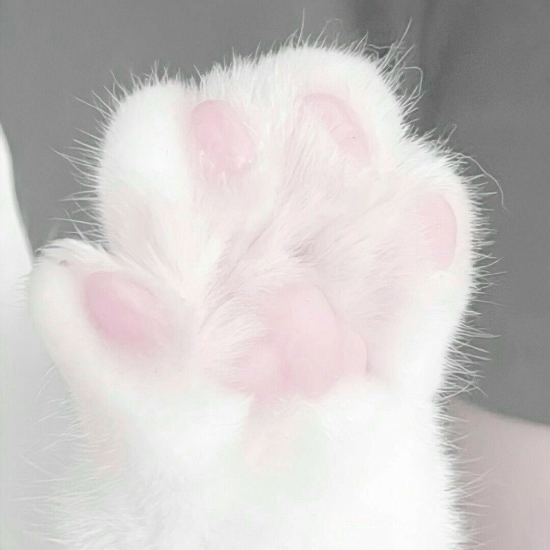 @🎀