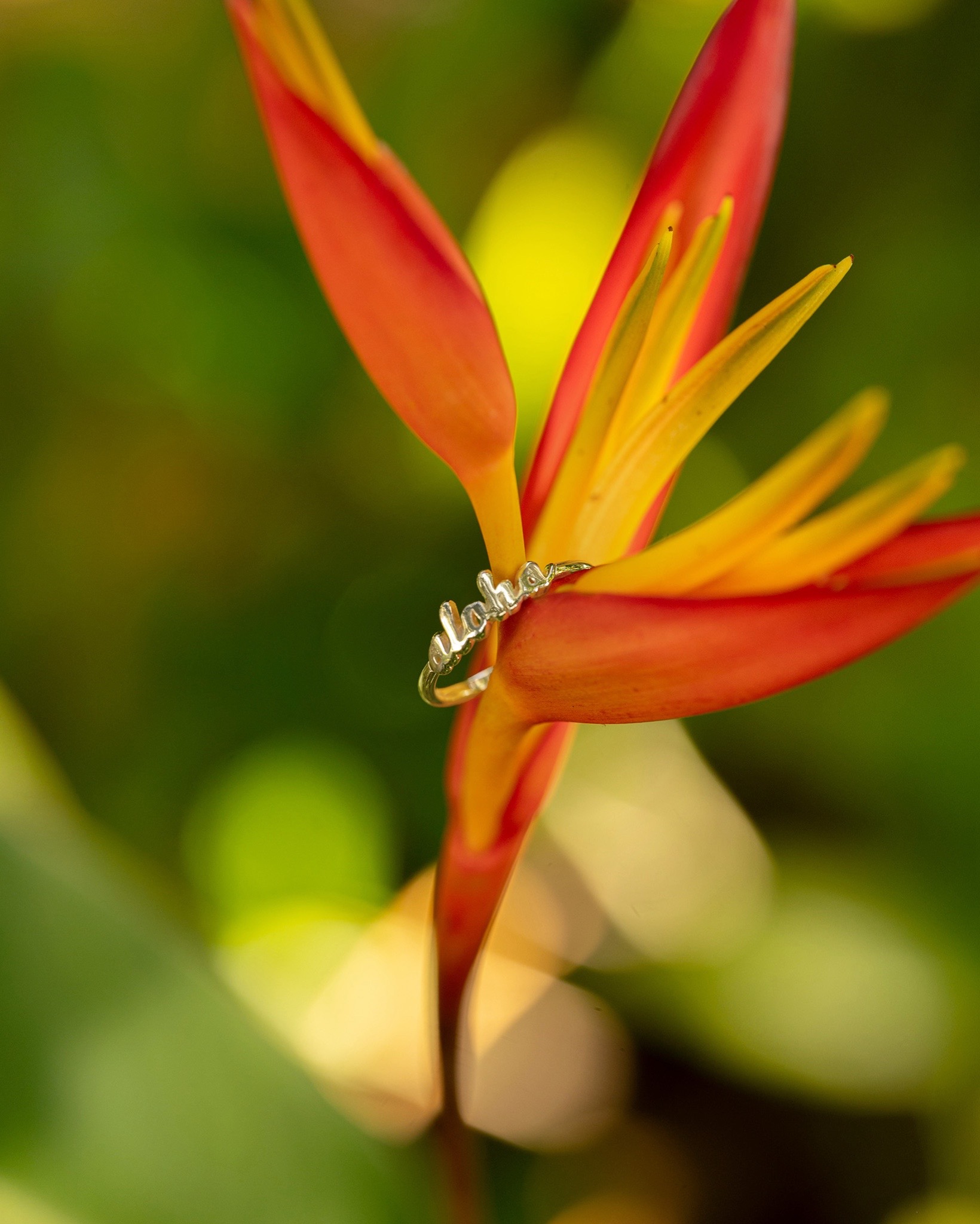 @Maui Divers Jewelry