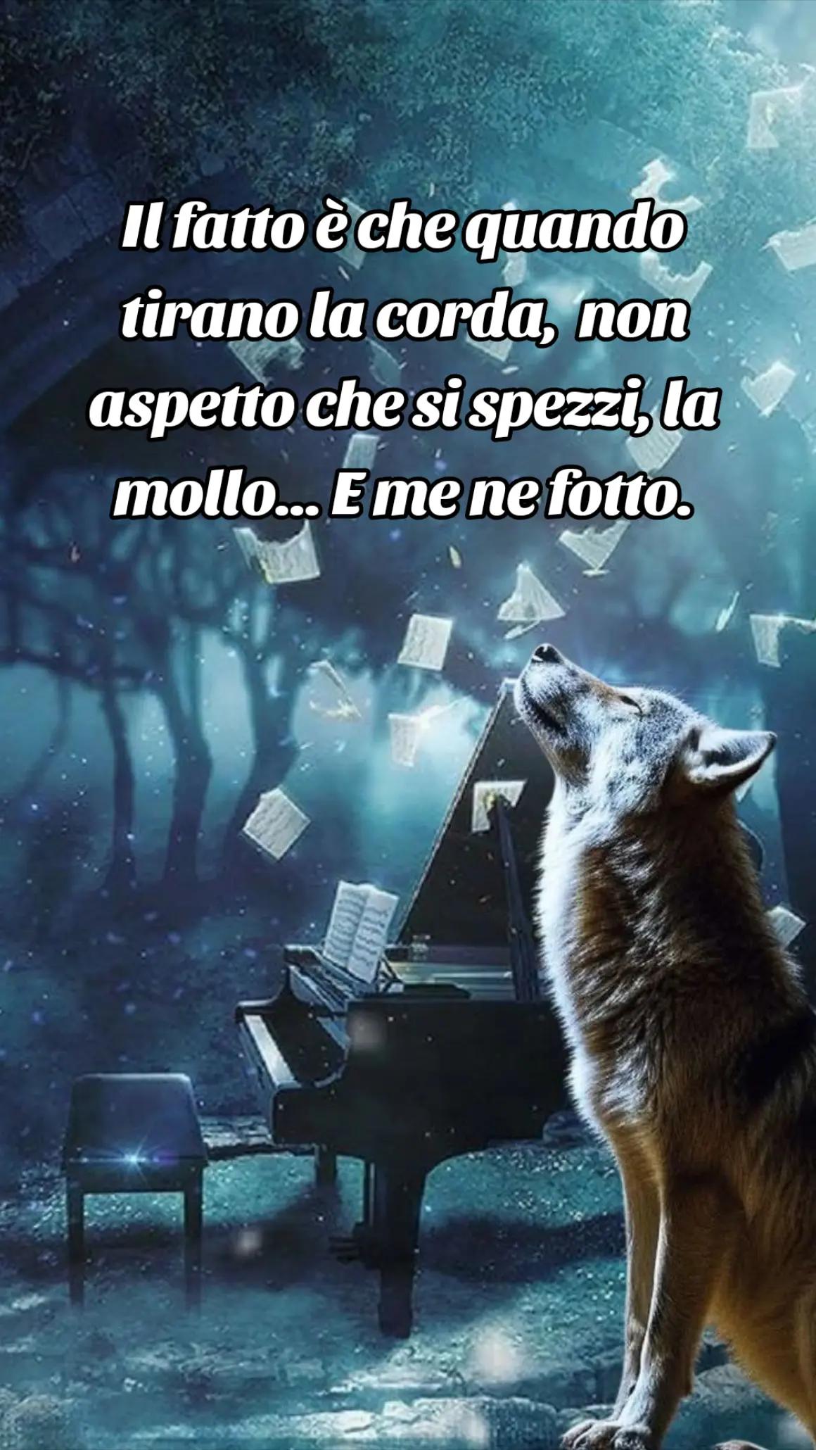@🐺🗽Crazy Wolf.