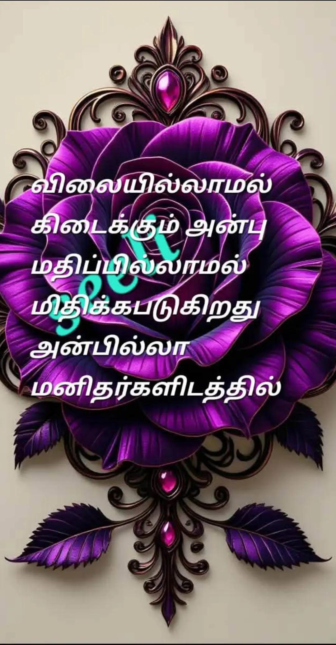 @sinna seeli