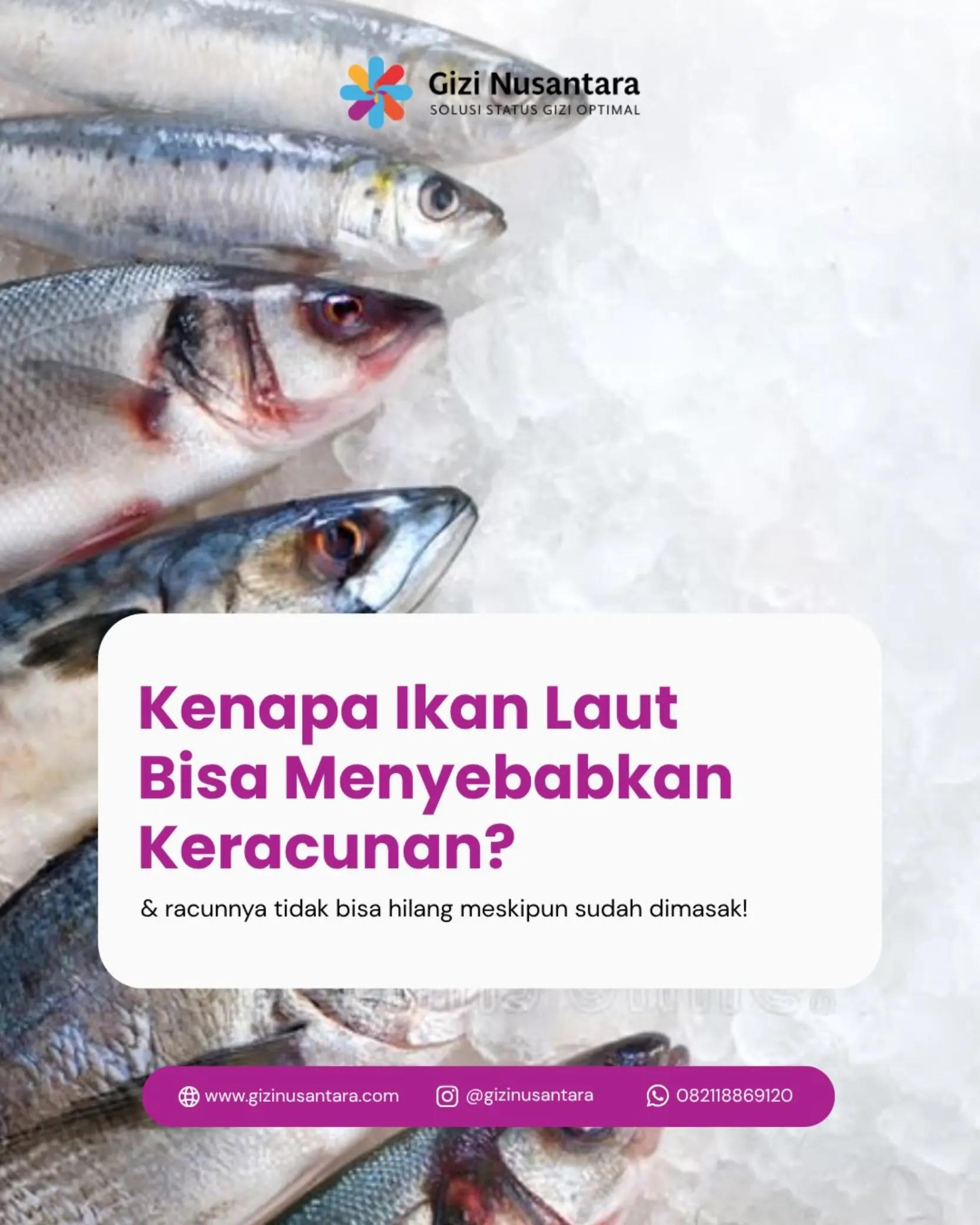 @Gizi Nusantara Official