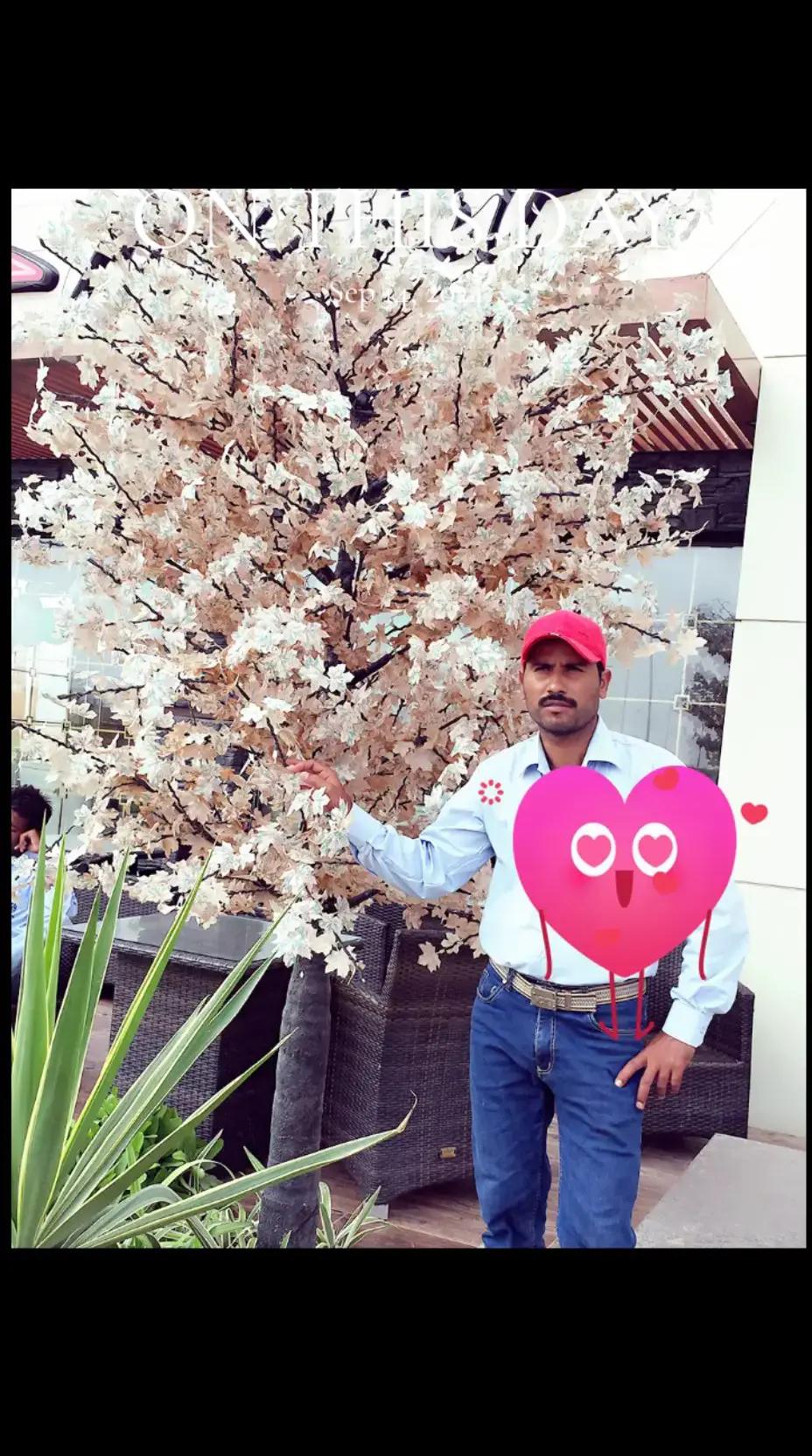 @ARzOO 🇸🇦 🇵🇰
