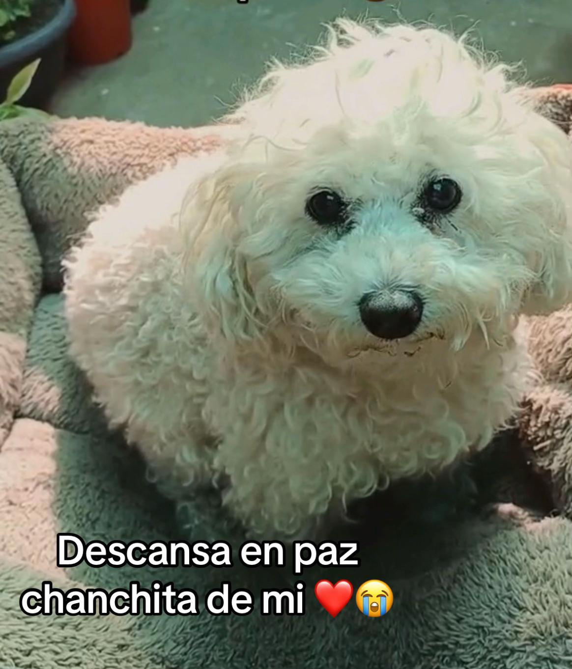 @Nicol valenzuela allabi