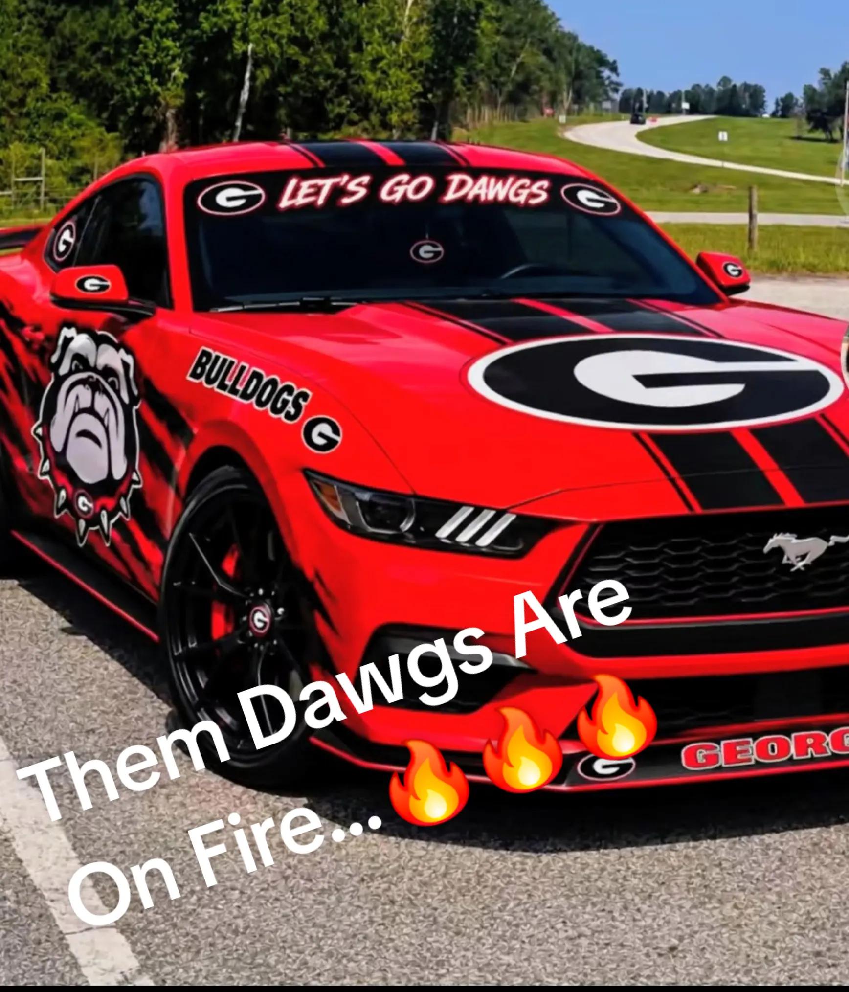 @TDawgGangGang4Life💙💙💙