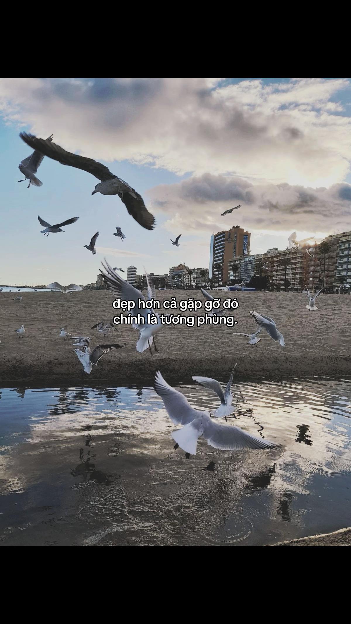 @Nông Sản Việt
