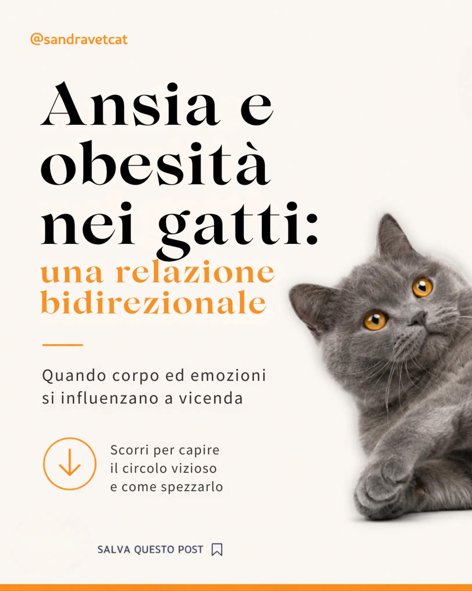 @Dr.ssa Sandra Viana