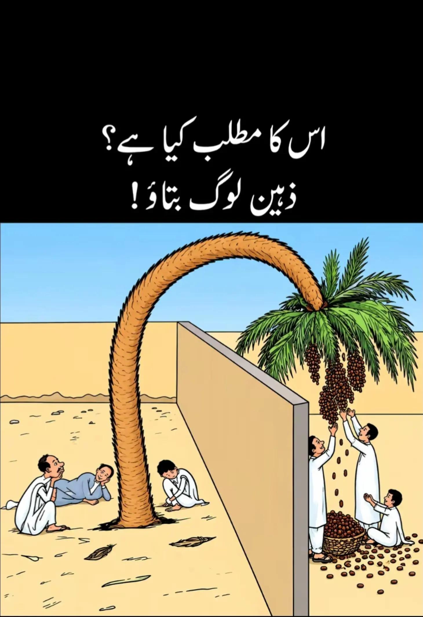 @طحہٰ بادشاہ👑