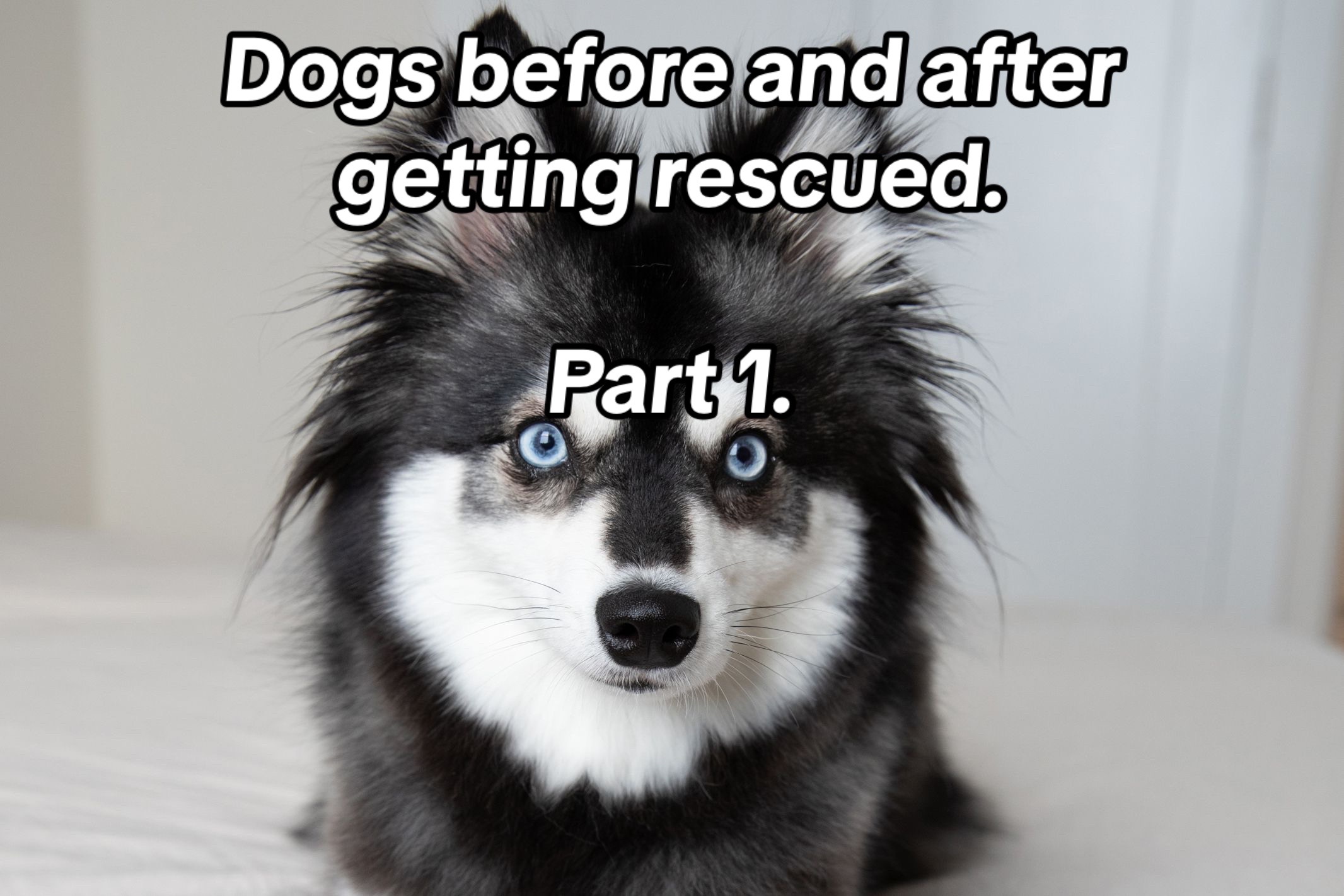@randomamazingfunfacts