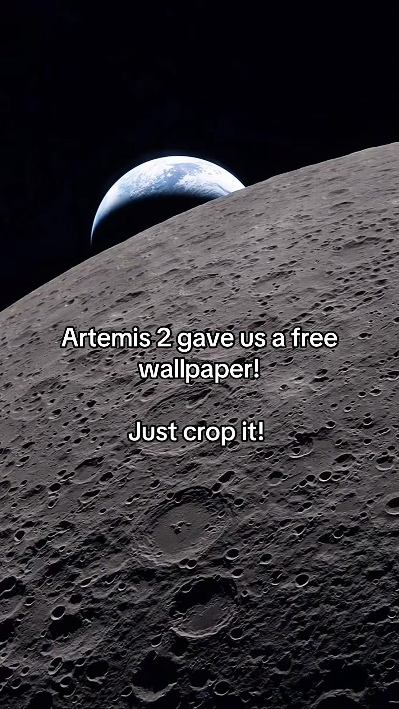 @Avienix