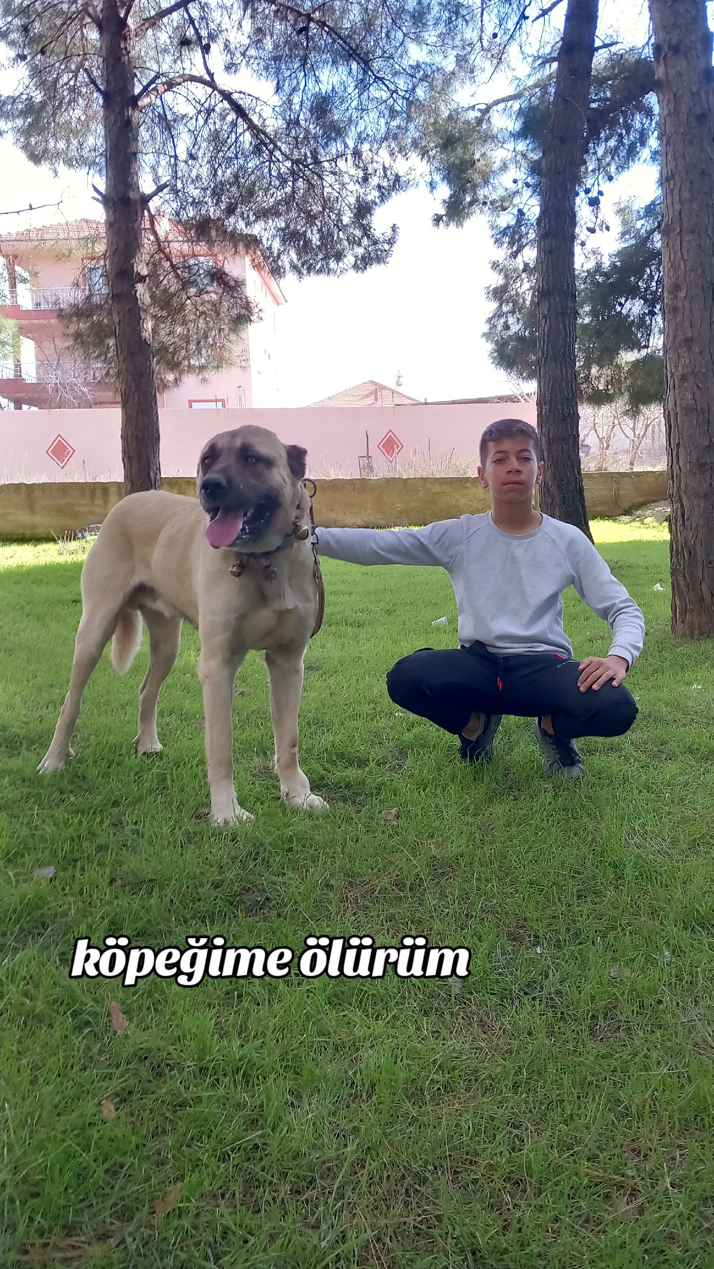 @Ramazan akosman