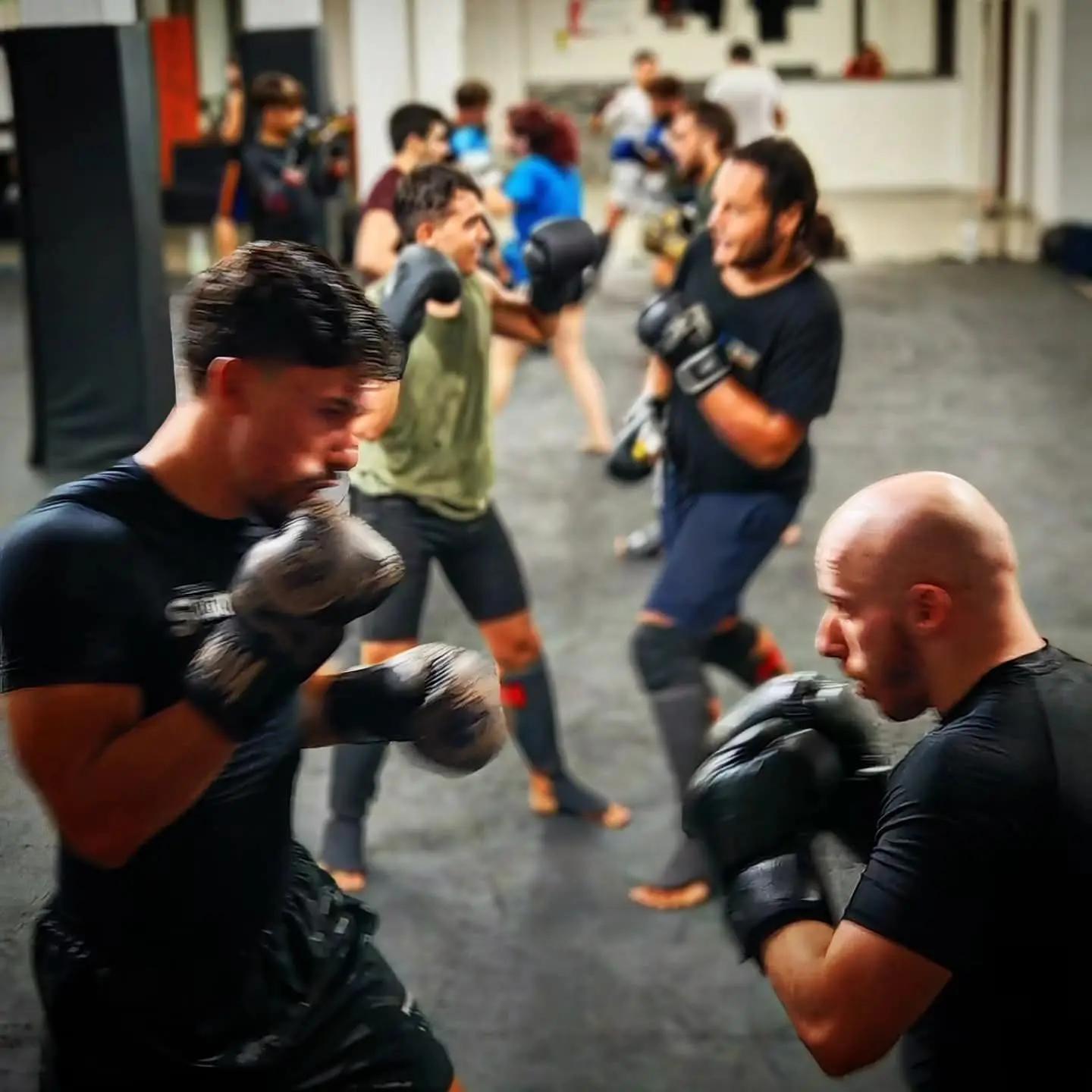 @MMA CATANIA