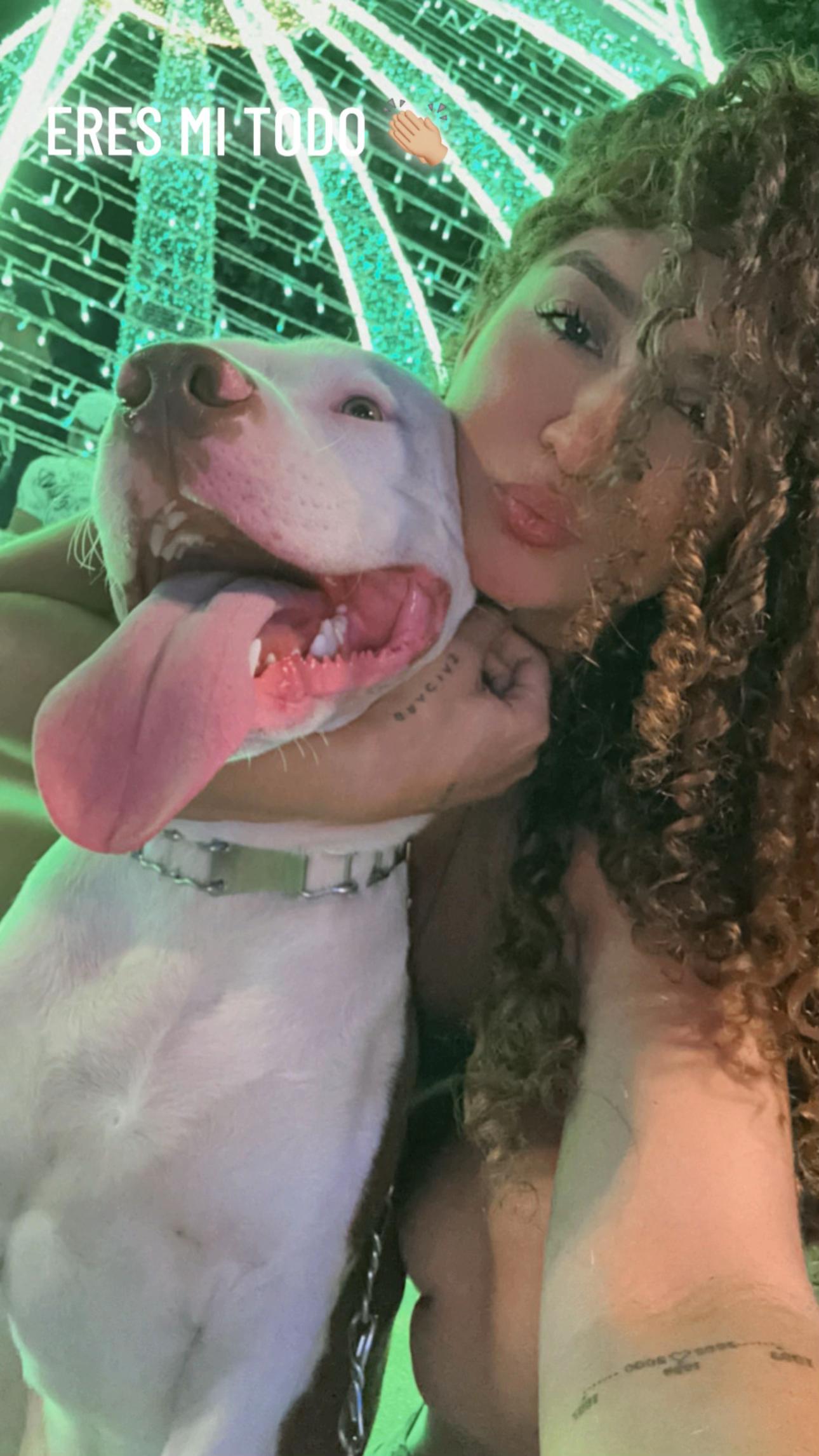 @♡ Lachurca ♡ 🛩️