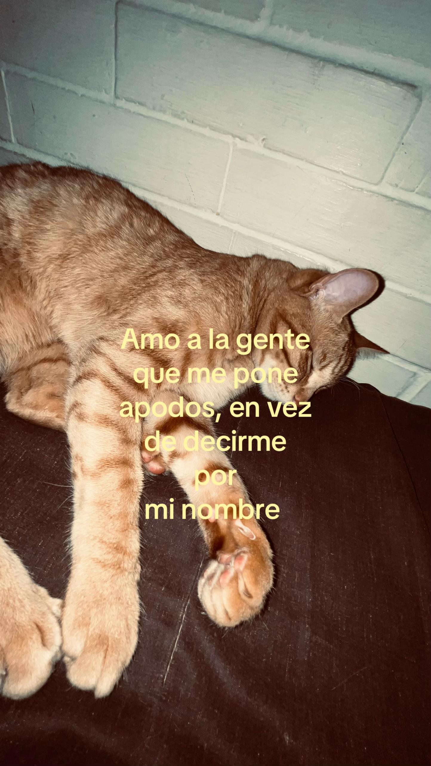 @Valuu🦇