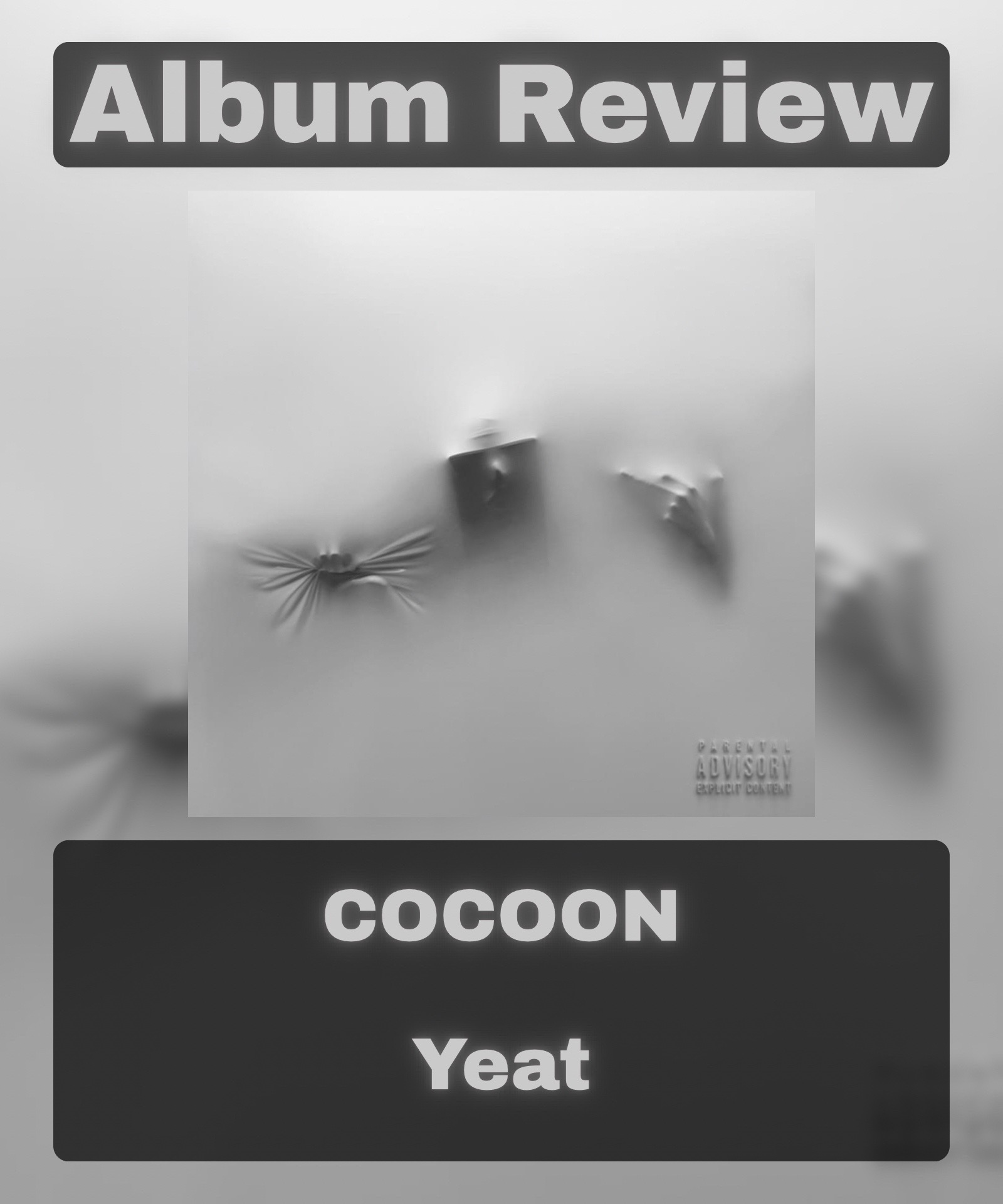 @gingermusicreviewer