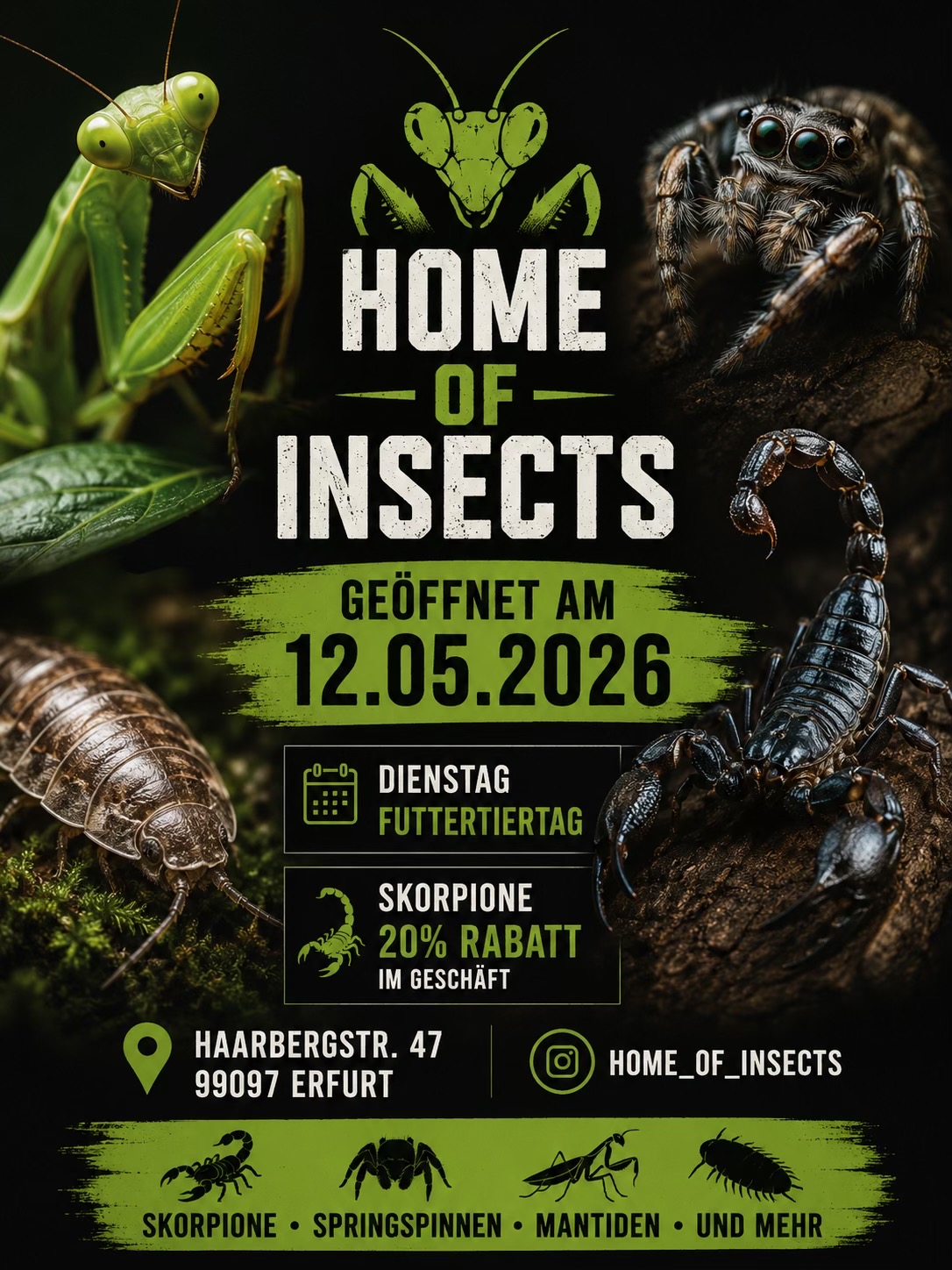 @Home-of-Insects