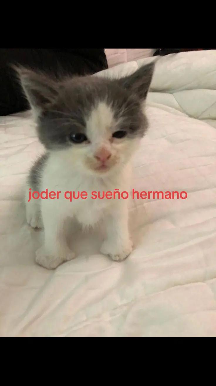 @G4b_n