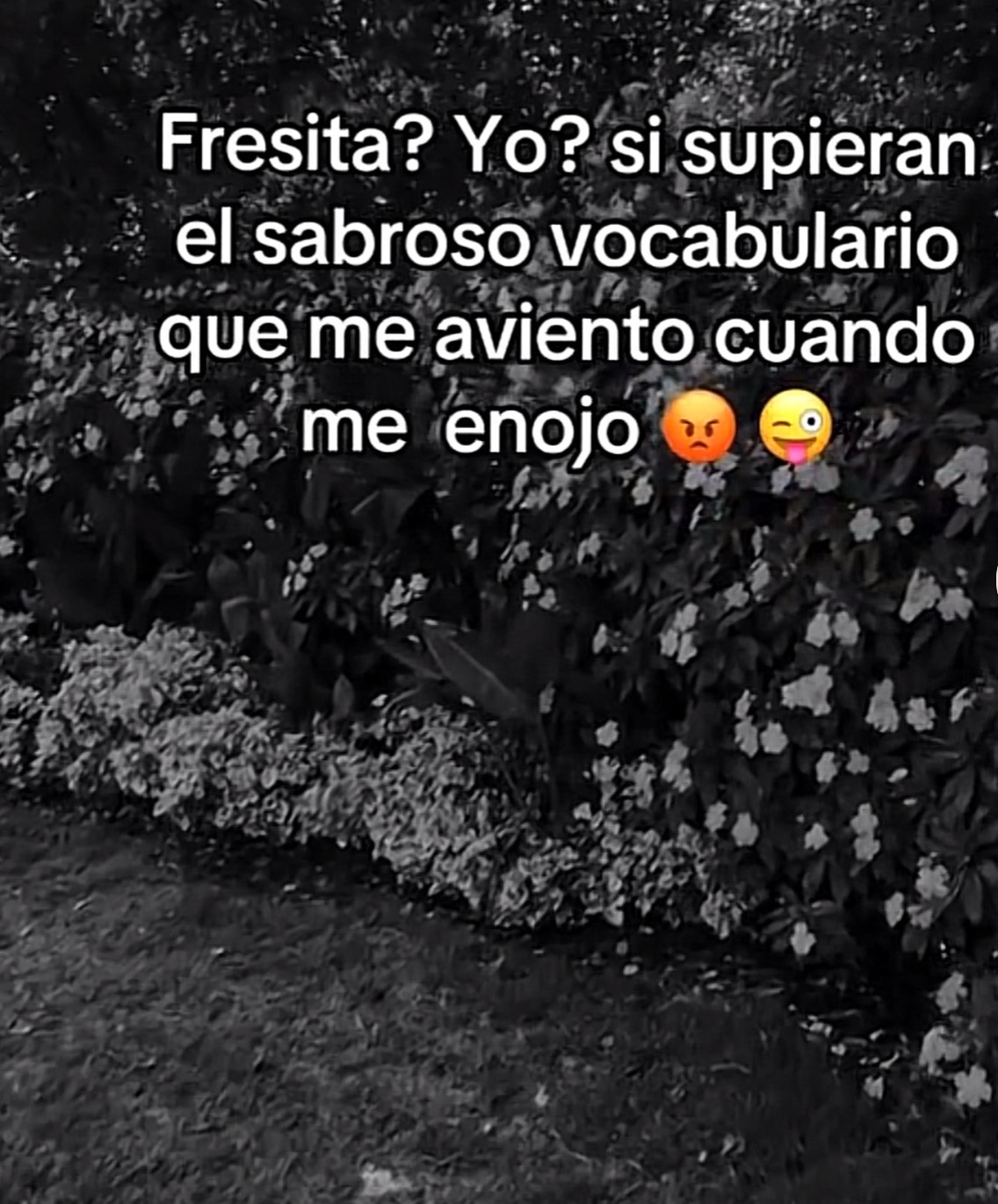 @Margarita R