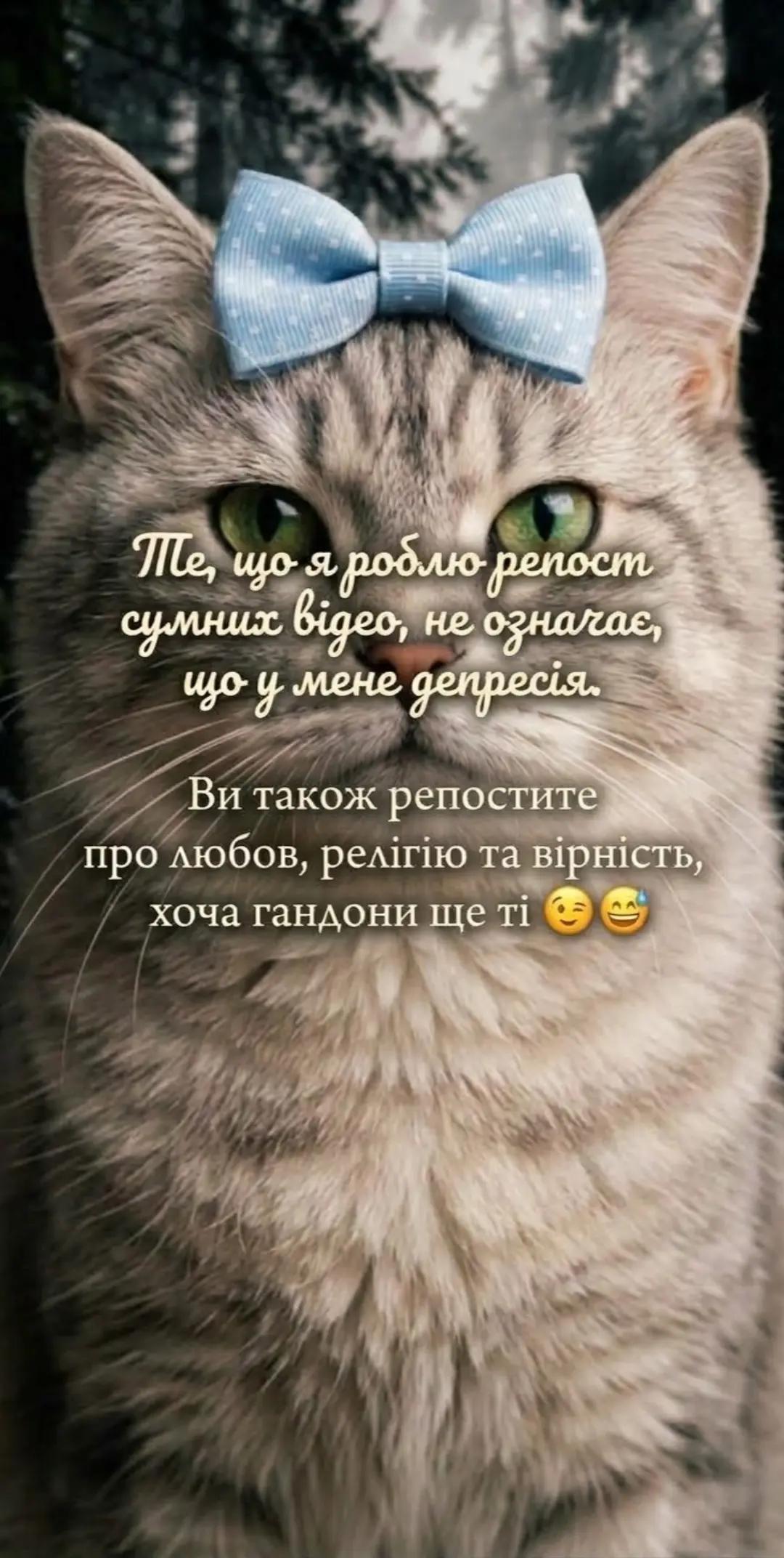 @Киця Бабина