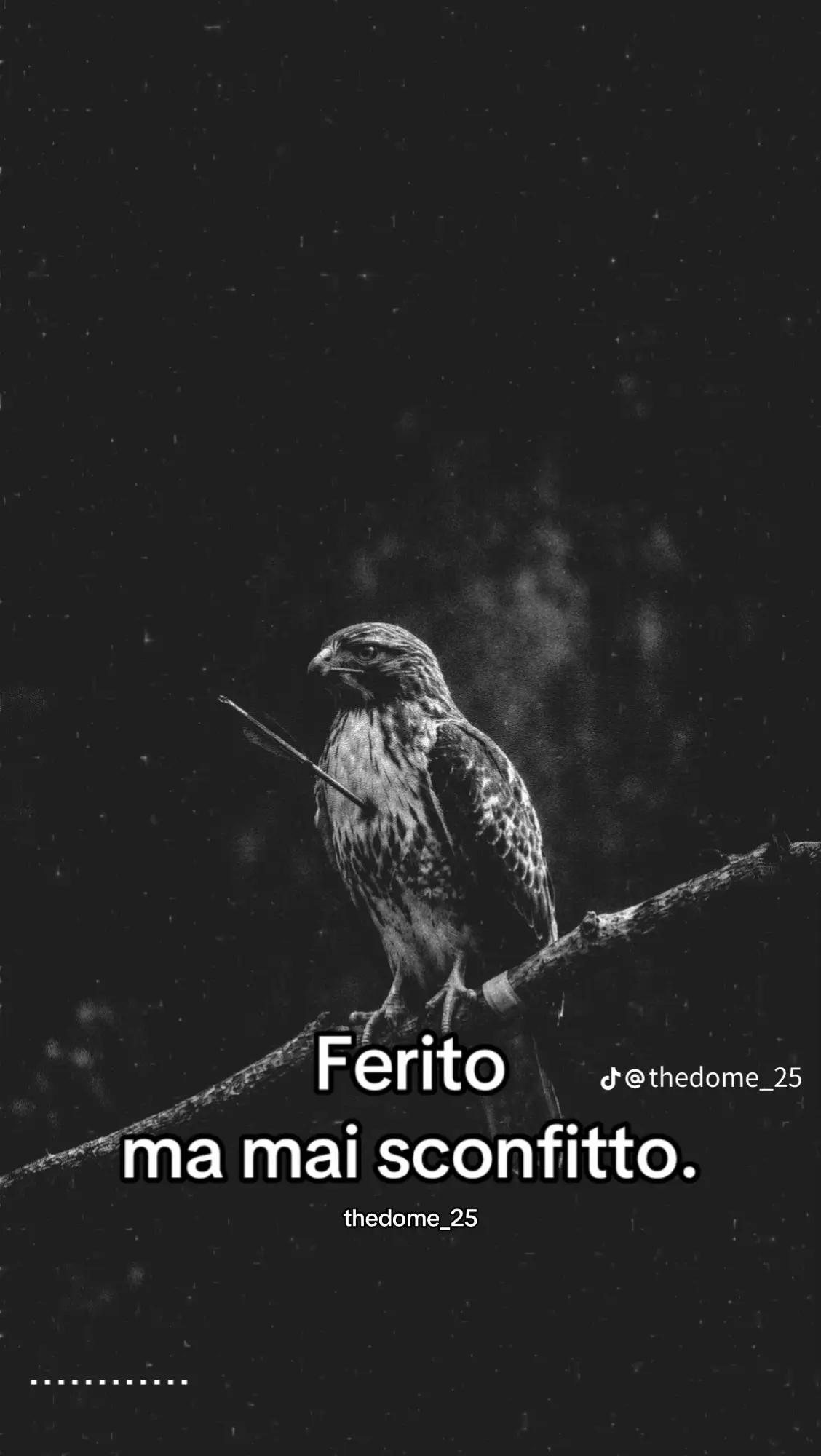 @ignoto 1