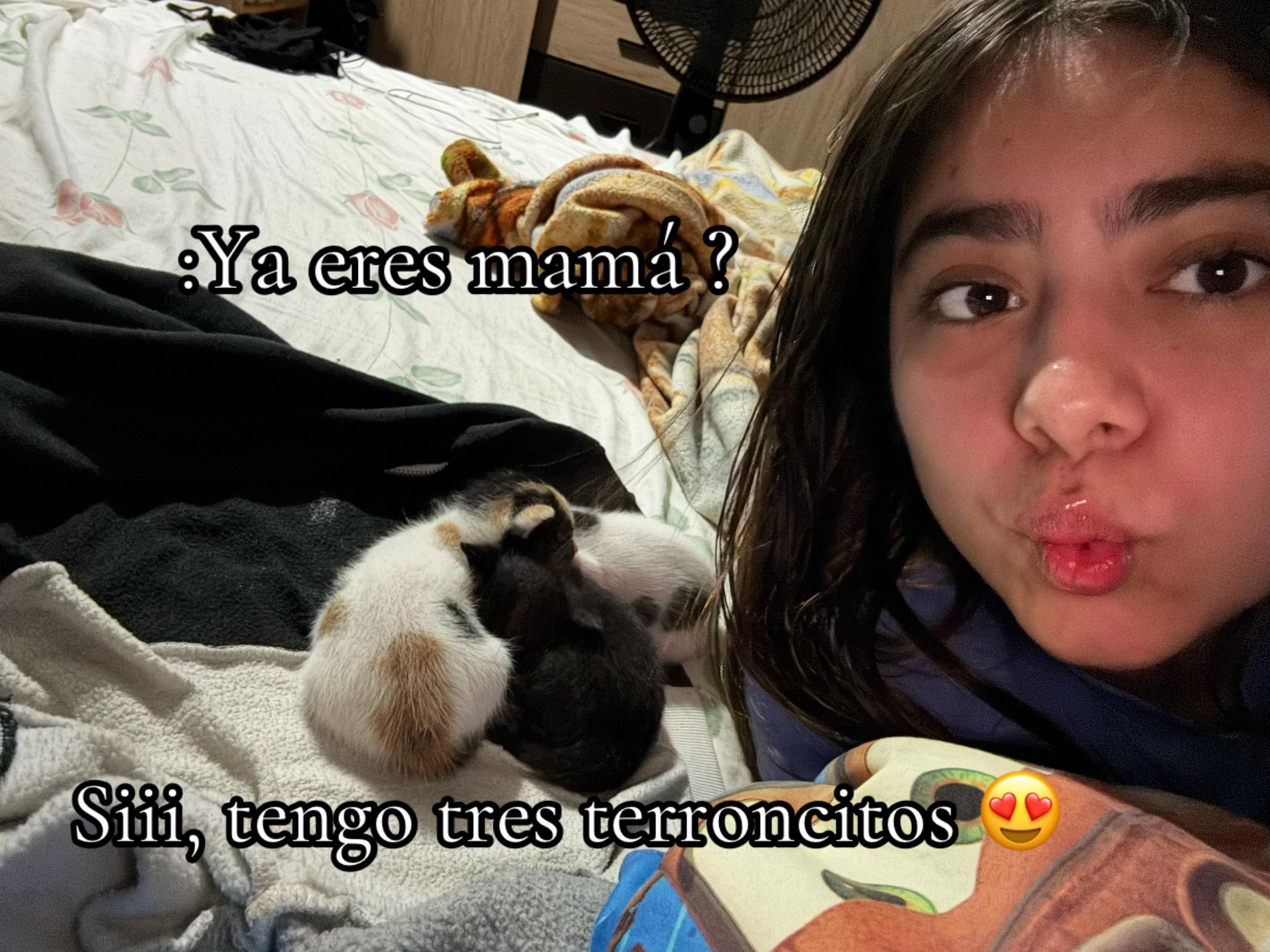 @Dayani_Alvarenga.