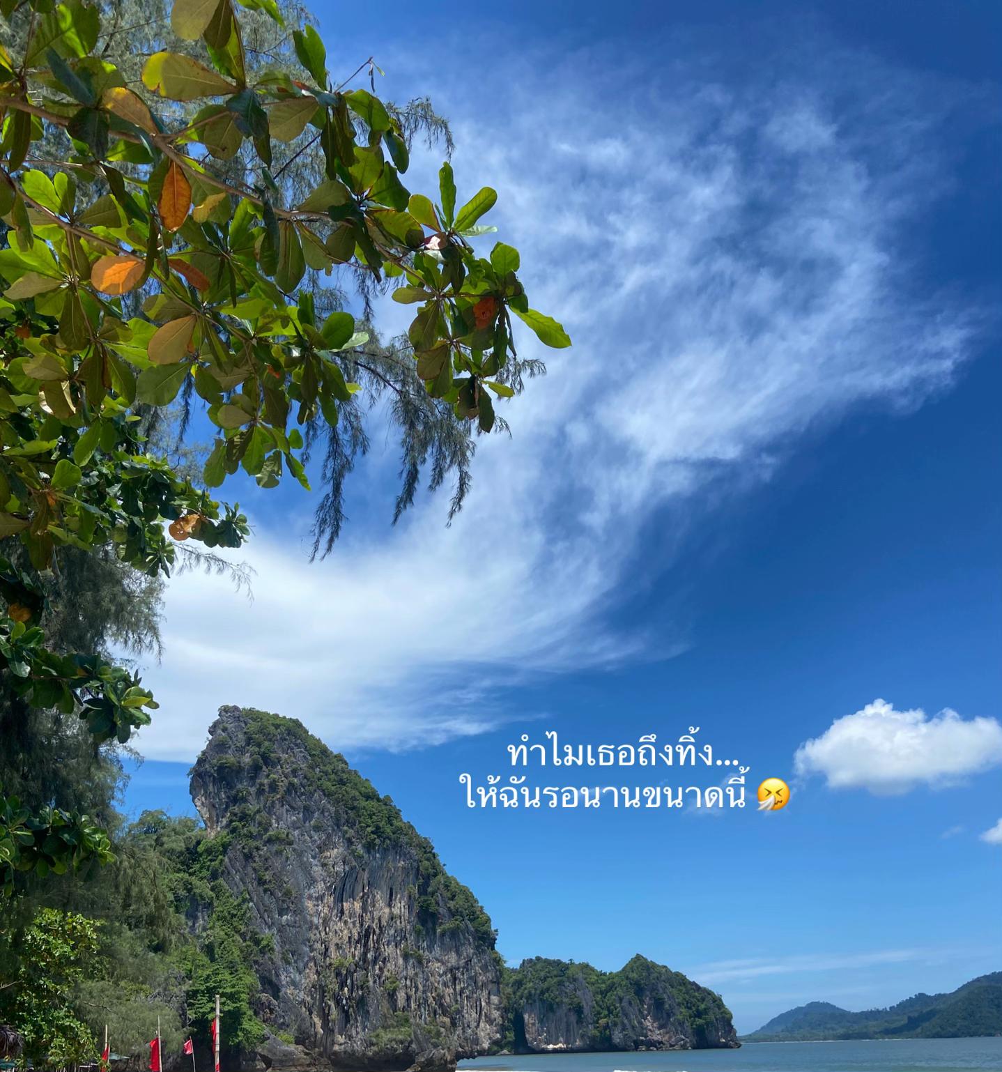 @siyahhh🌻🤍