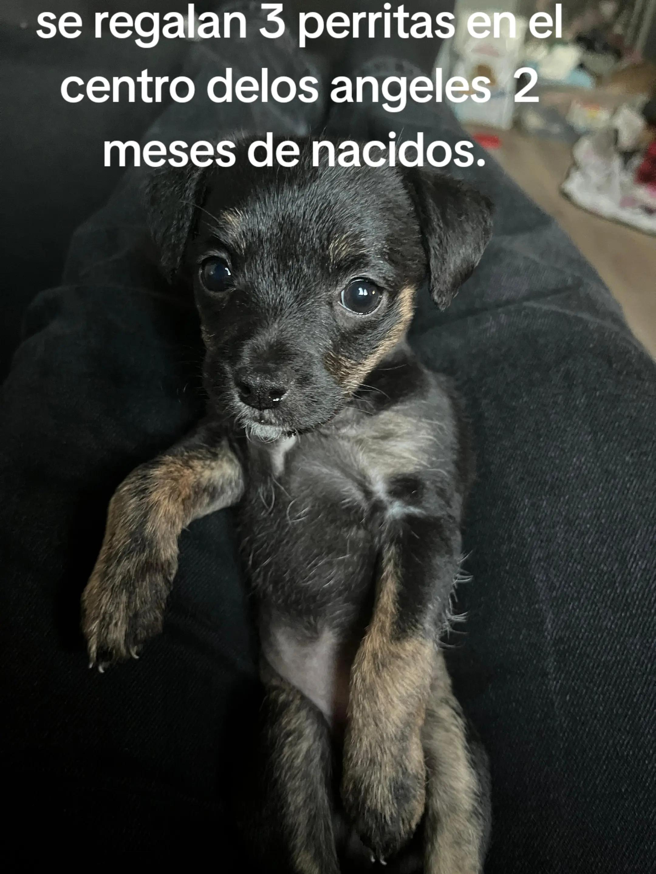 @hectorhector1125