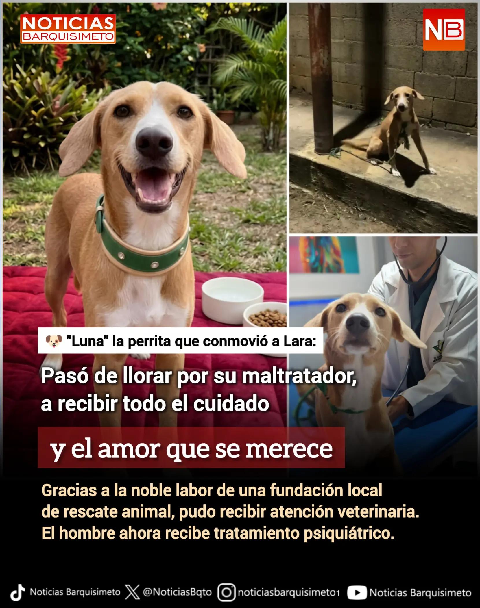 @Noticias Barquisimeto