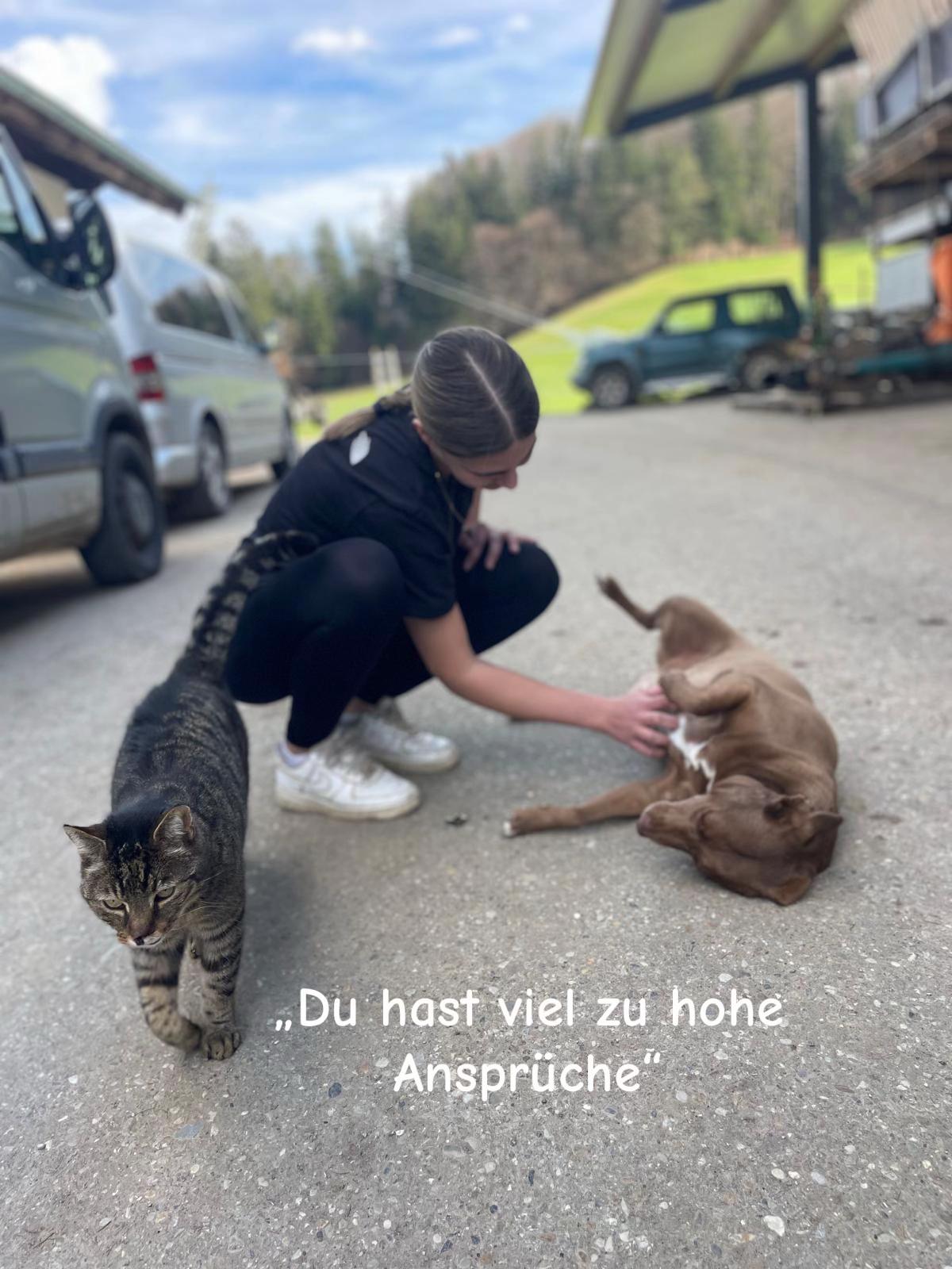 @Heli