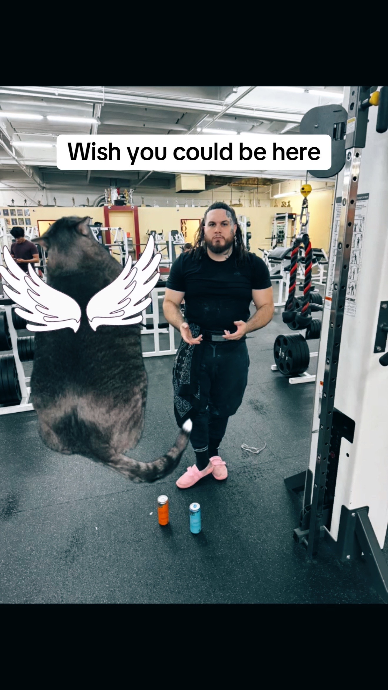 @Tony.vendetta