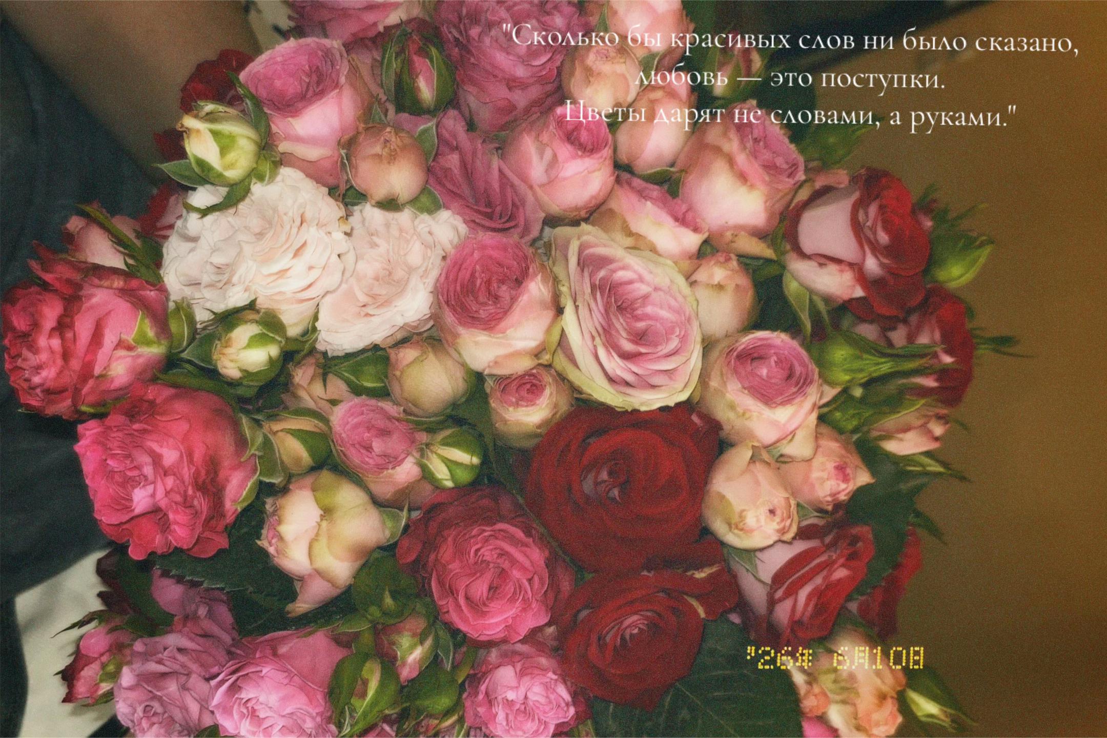 @𝑬𝒔 𝒖 𝒅𝒖❤️