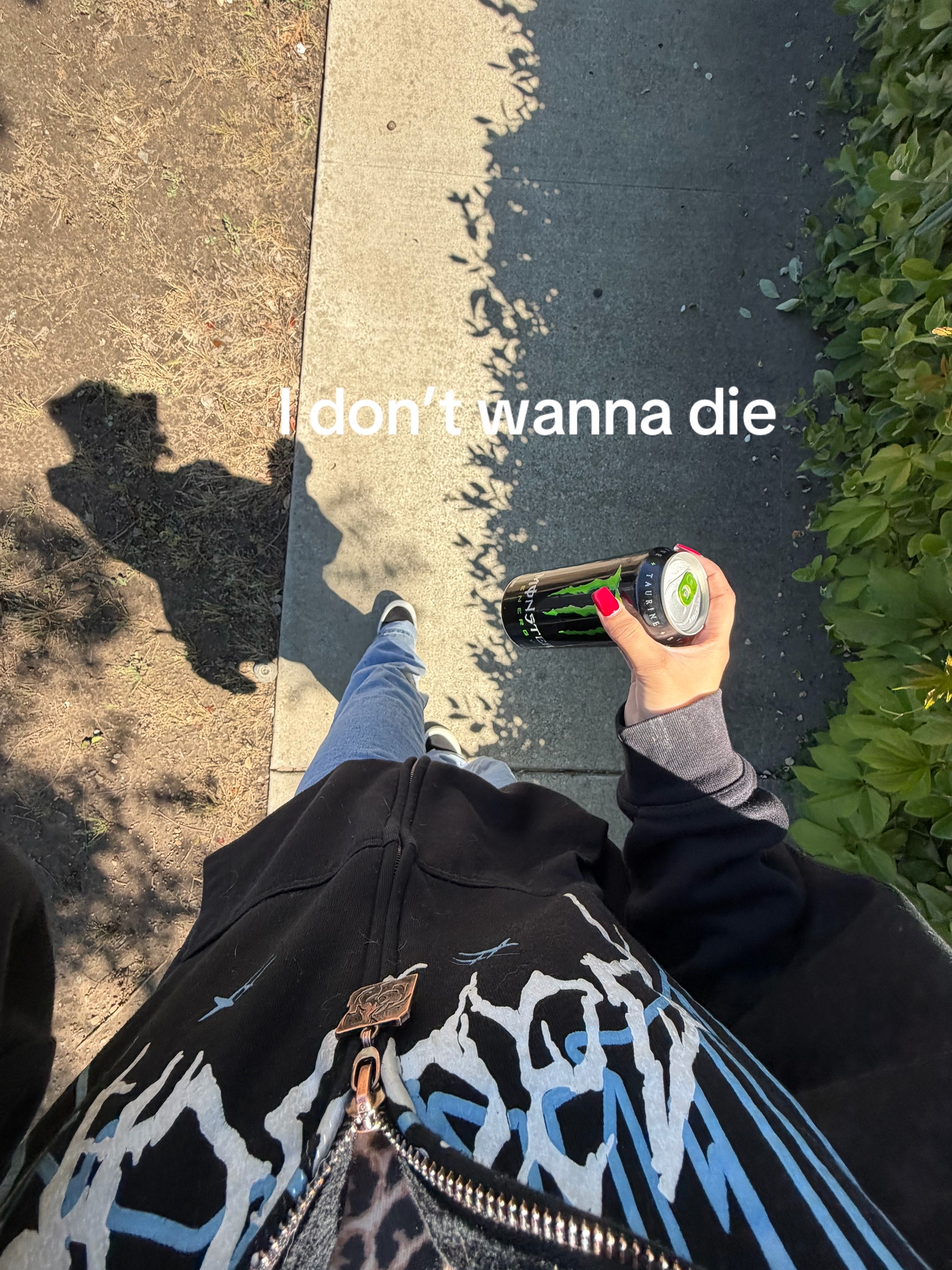 @โ๐ถ๐๐๐ถ๐ฝ๐๐