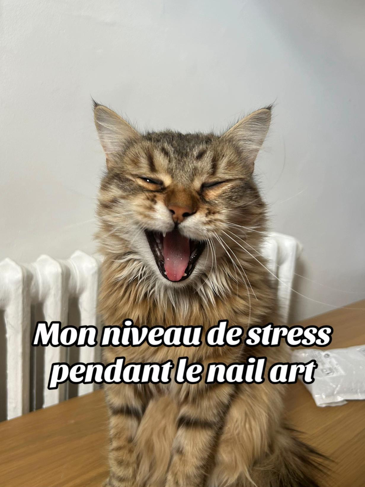 @Nininails