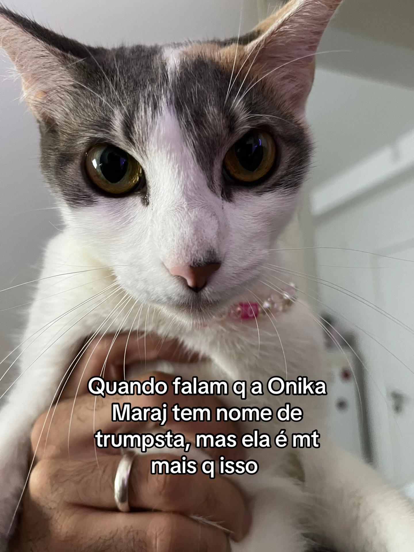 @arealcabulosa