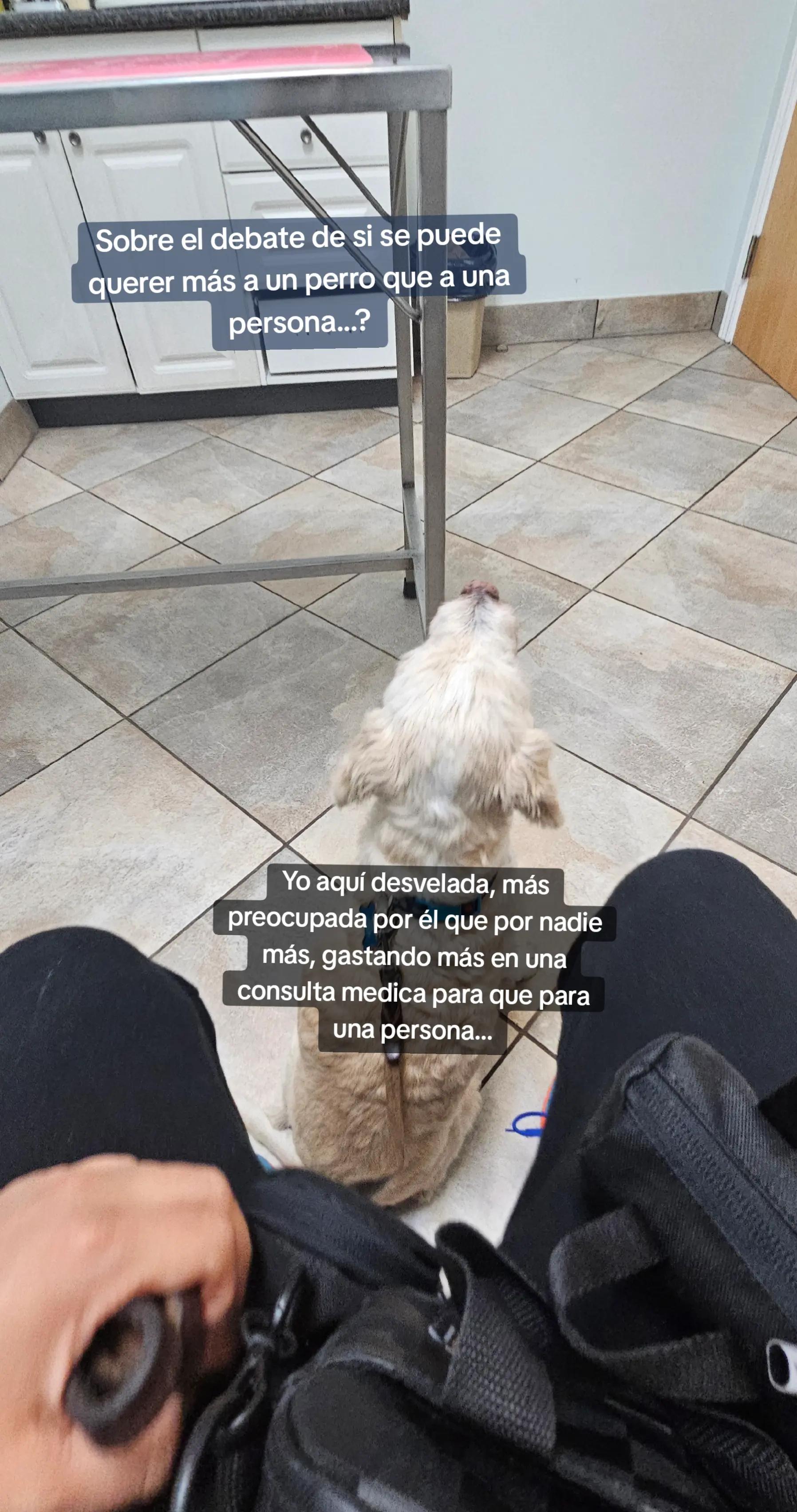 @LaPaoSS