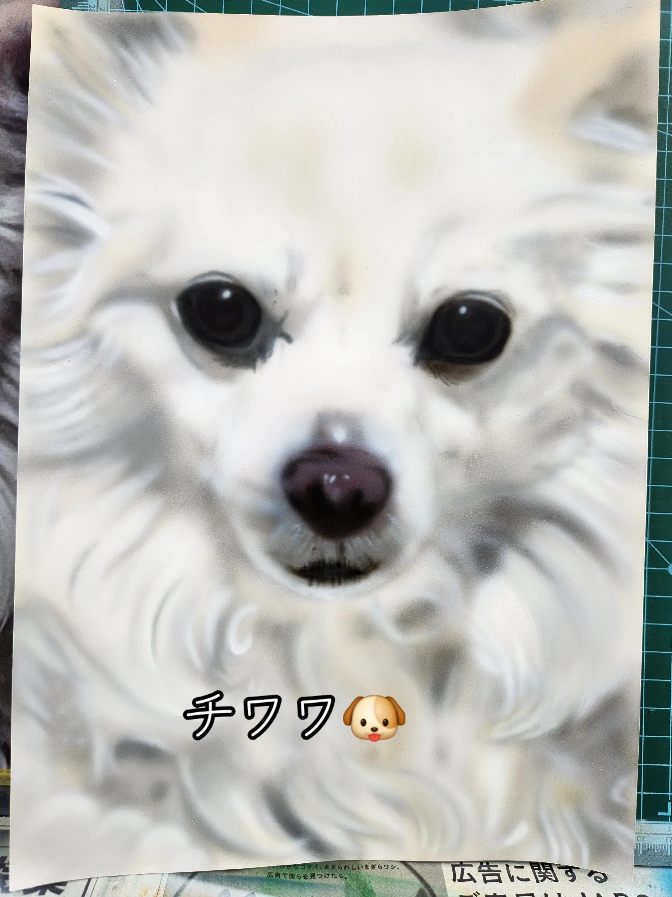 @✠ｱﾘｿﾞﾅ〉ガレｰジ66ペイント𝒉𝒐𝒖𝒔𝒆✠