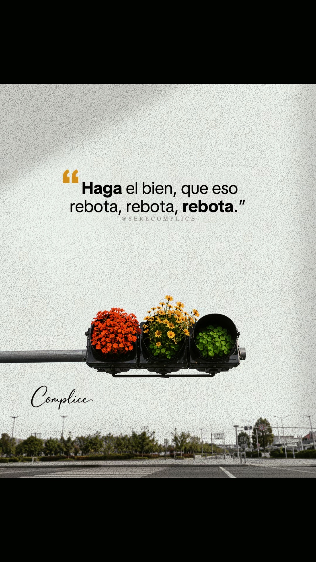 @Psicóloga Ale 🌷