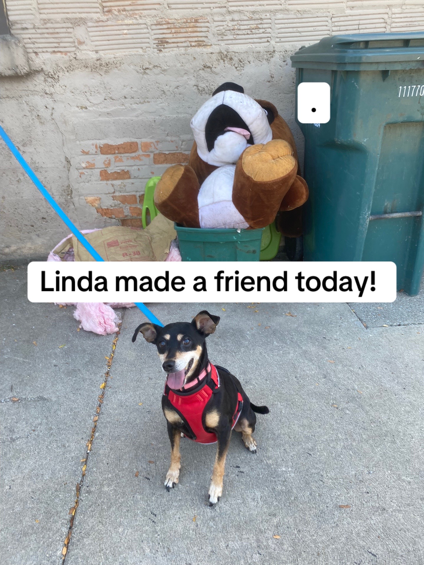 @Linda Longnips